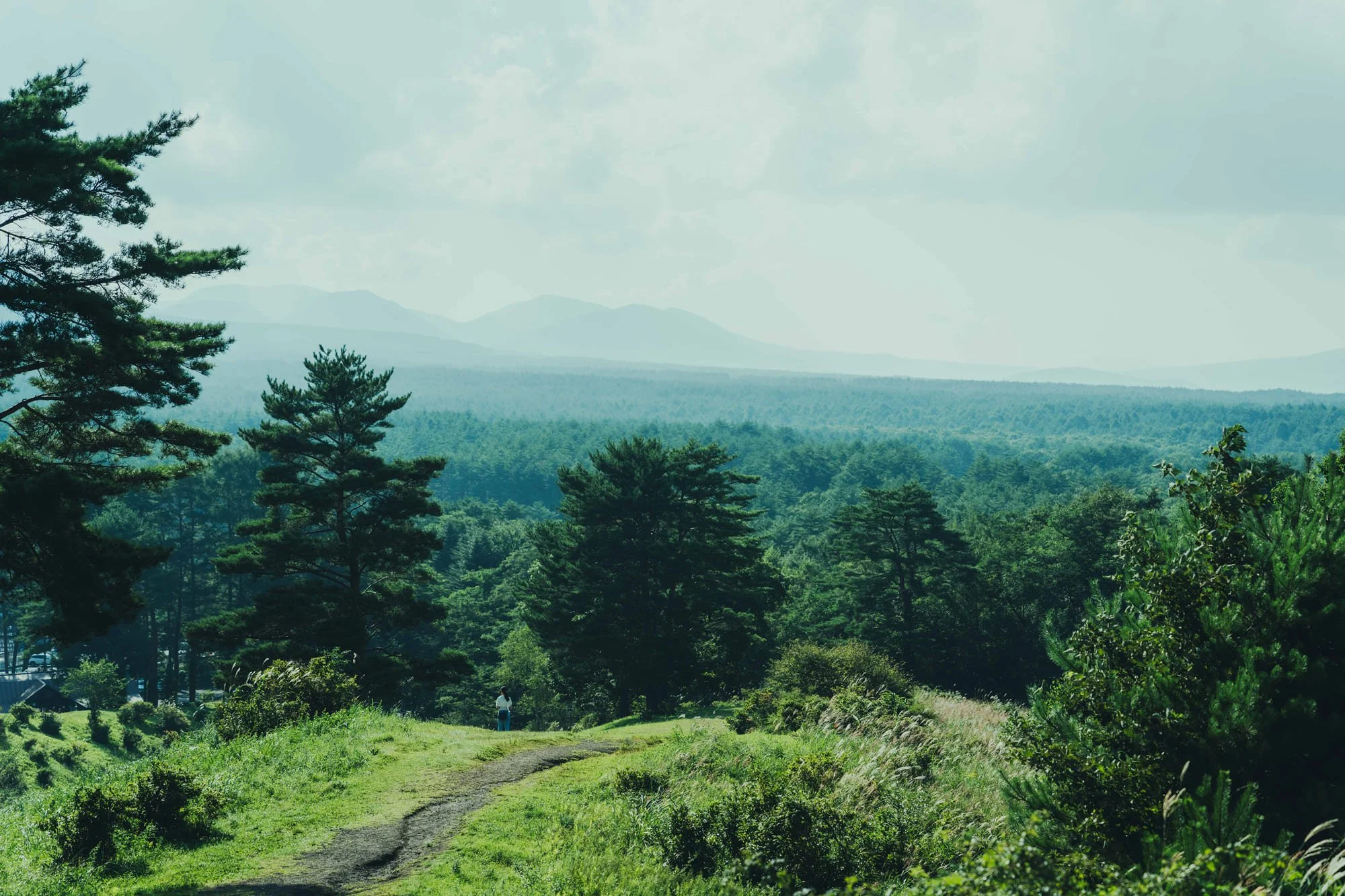 JUI_北軽井沢_S2_8113 (1).jpg