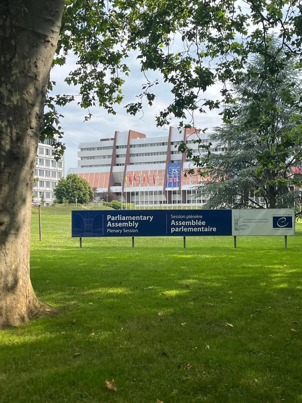 WhatsApp Image 2024-06-27 at 17.15.56 (1).jpeg