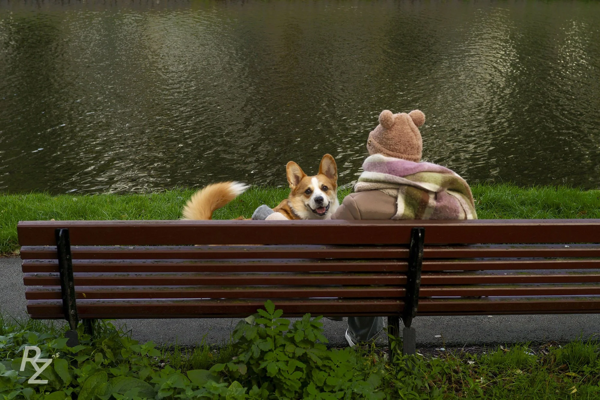 Man’s best friend
