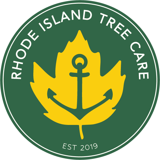 Rhode Island Tree Care