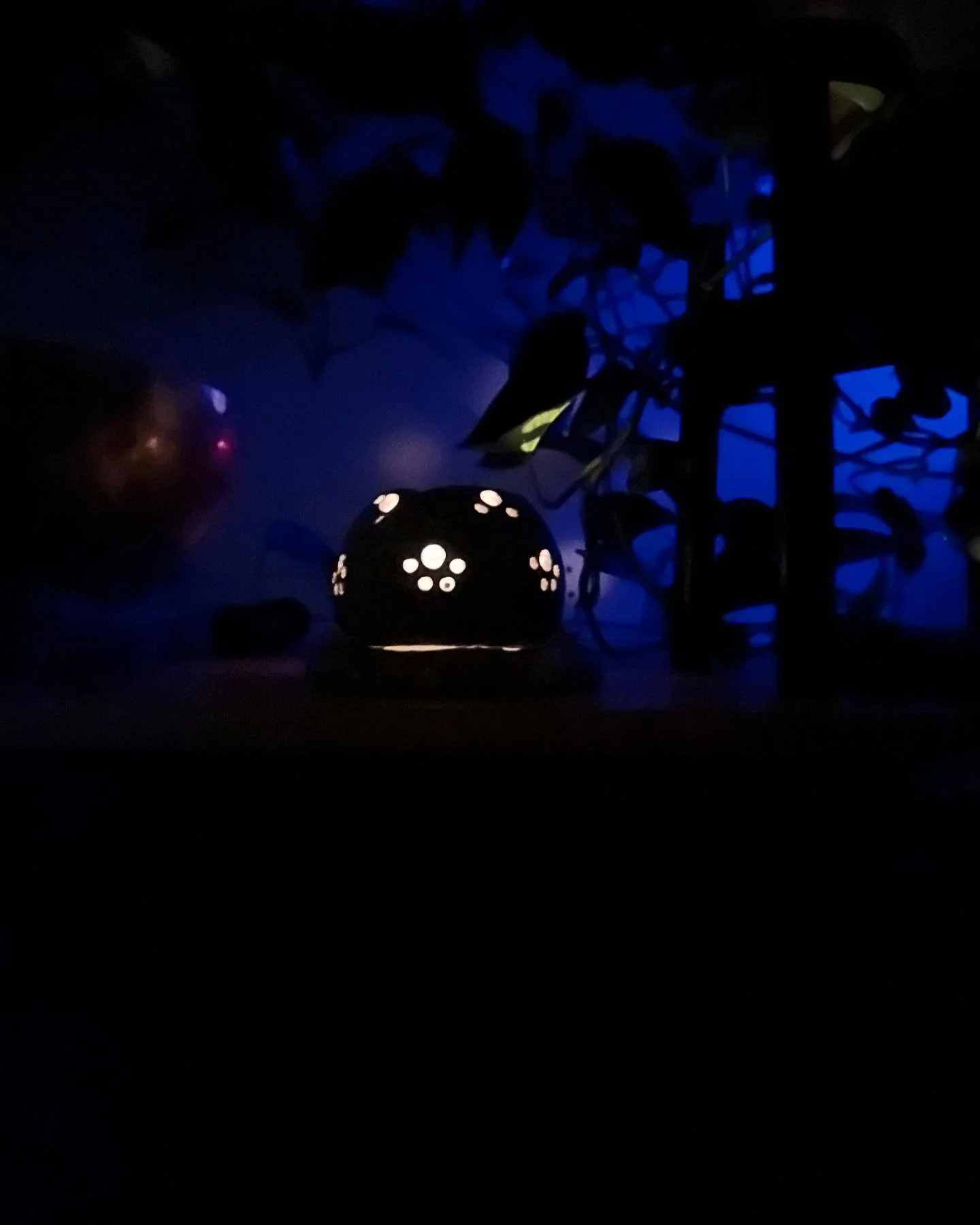 Try this. Wake up while most are asleep, light a candle in the dark, 30 minutes breath-work then 15 minute meditation. Have a wonderful day!