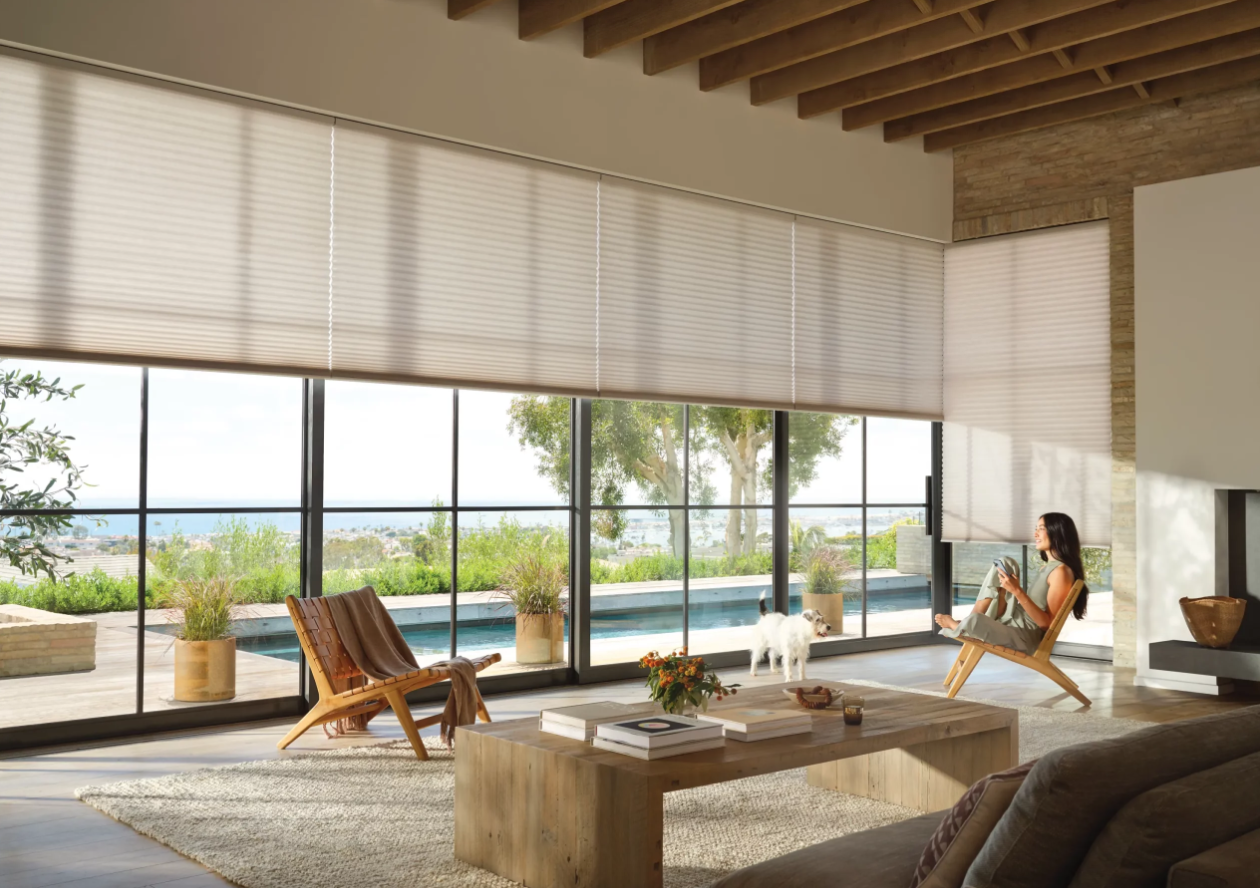 Hunter Douglas Motorized Shades for your Tampa Home