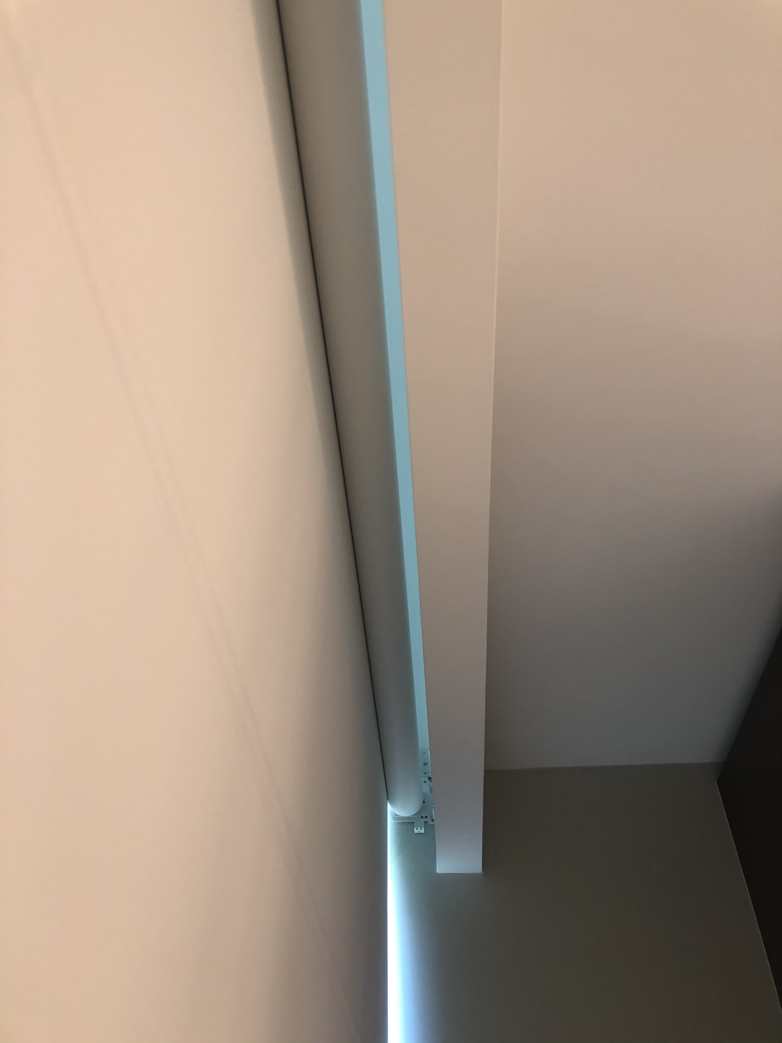 IMG_4604.png