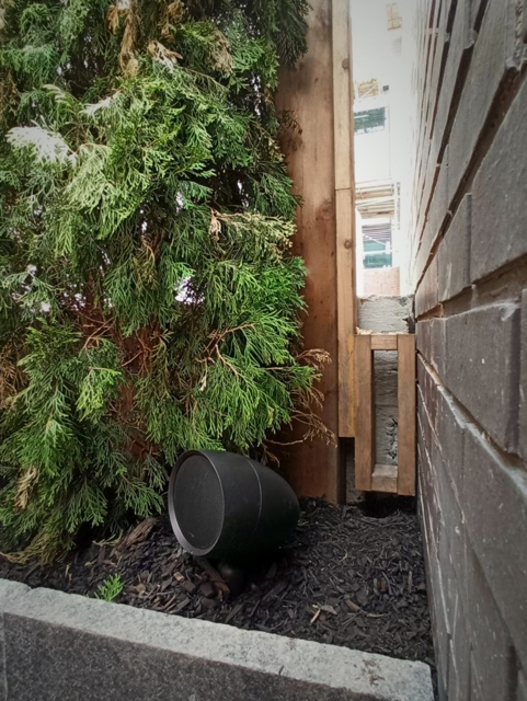 onhive_backyard speaker3.PNG