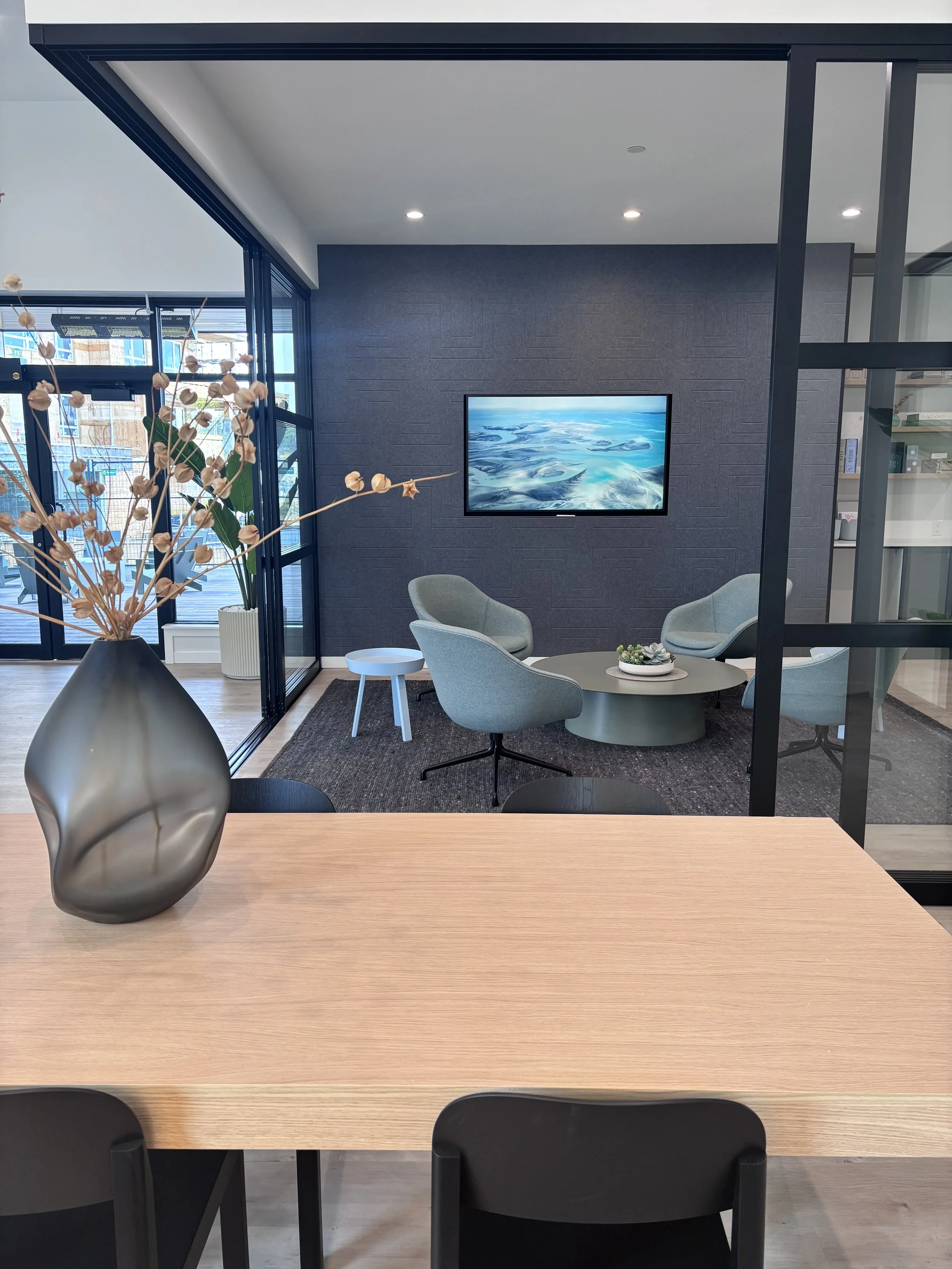 condo amenities audio-visual installation Toronto