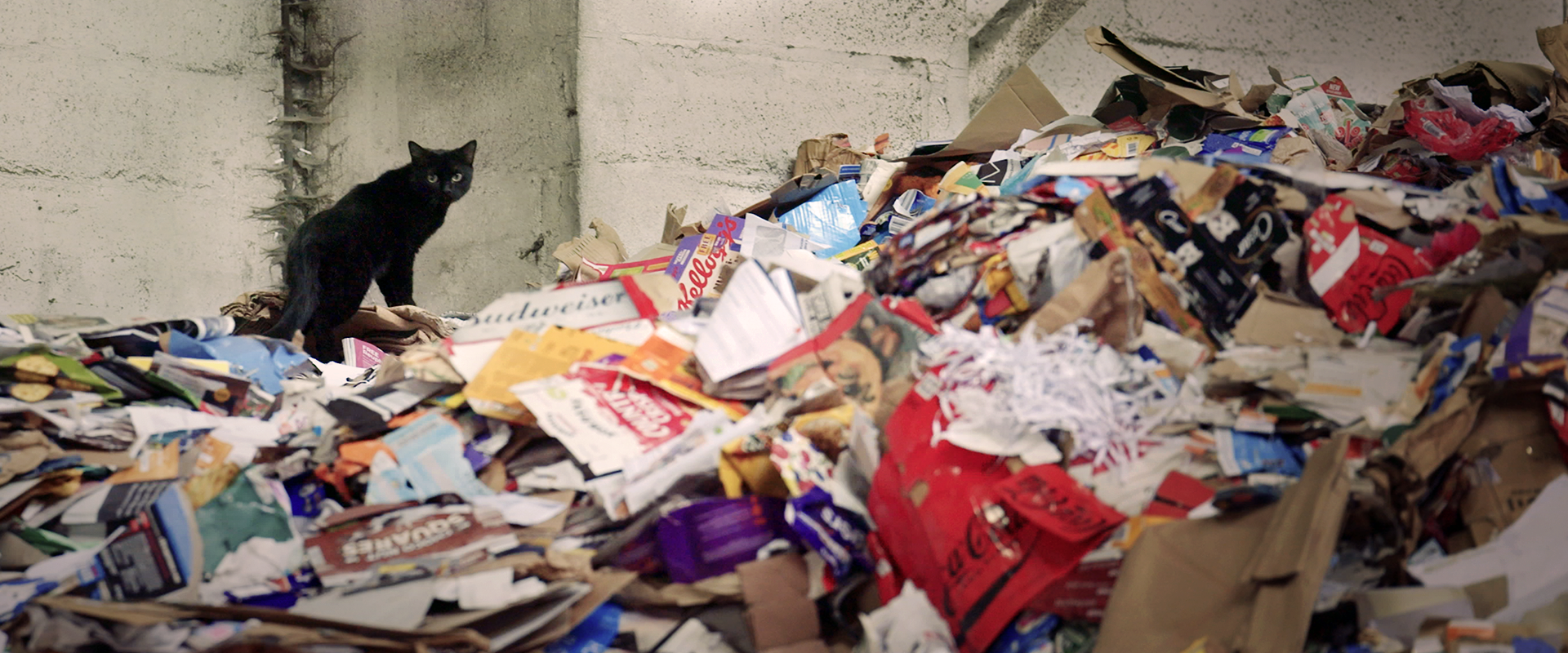 Recycle Week - Wrap 5.png