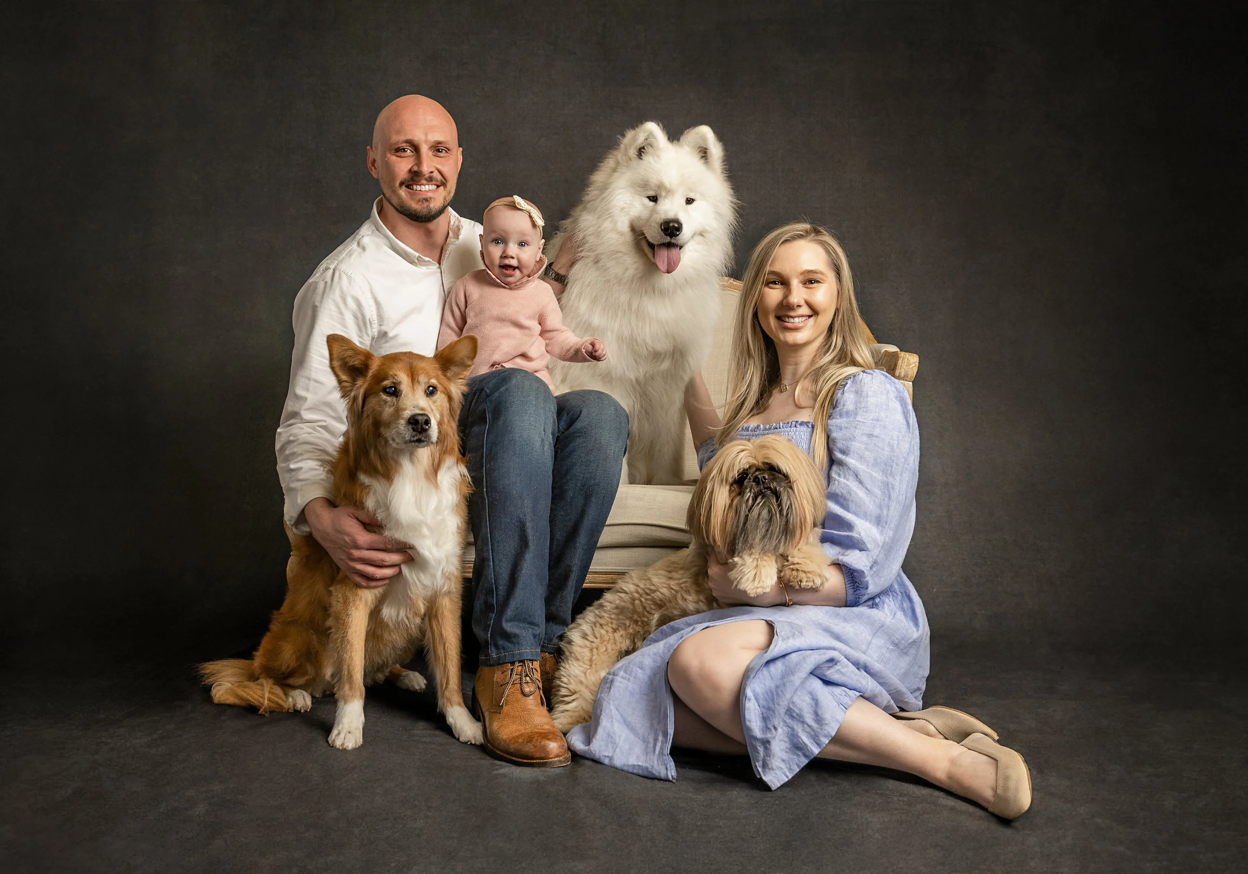 A family of four with four dogs poses for a portrait against a dark background. The man on the left has a beard and is holding a brown and white dog, while a woman on the right with blonde hair is sitting on the floor holding a small Shih Tzu dog. Th