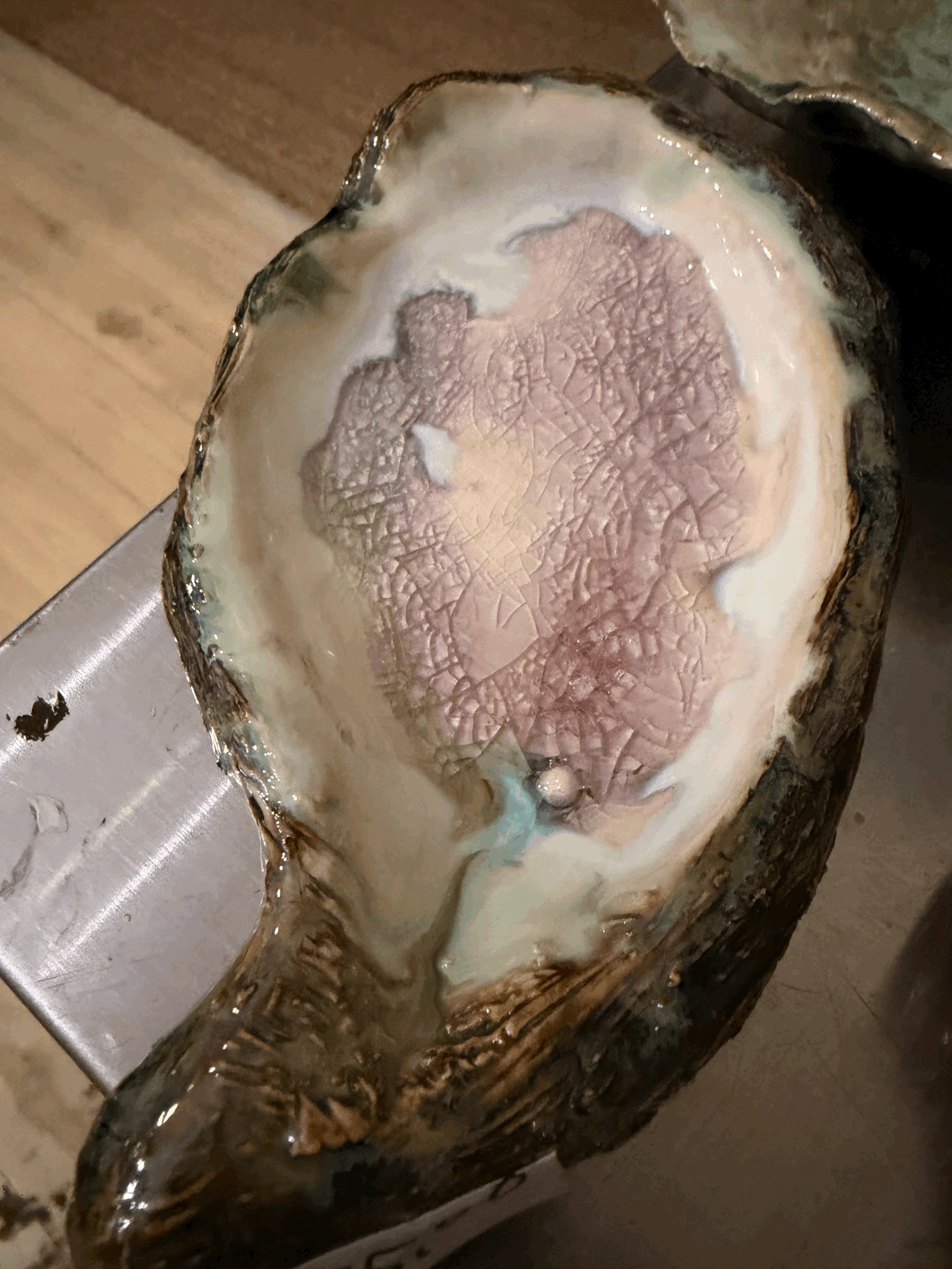 tempImageKWTnXp.gif