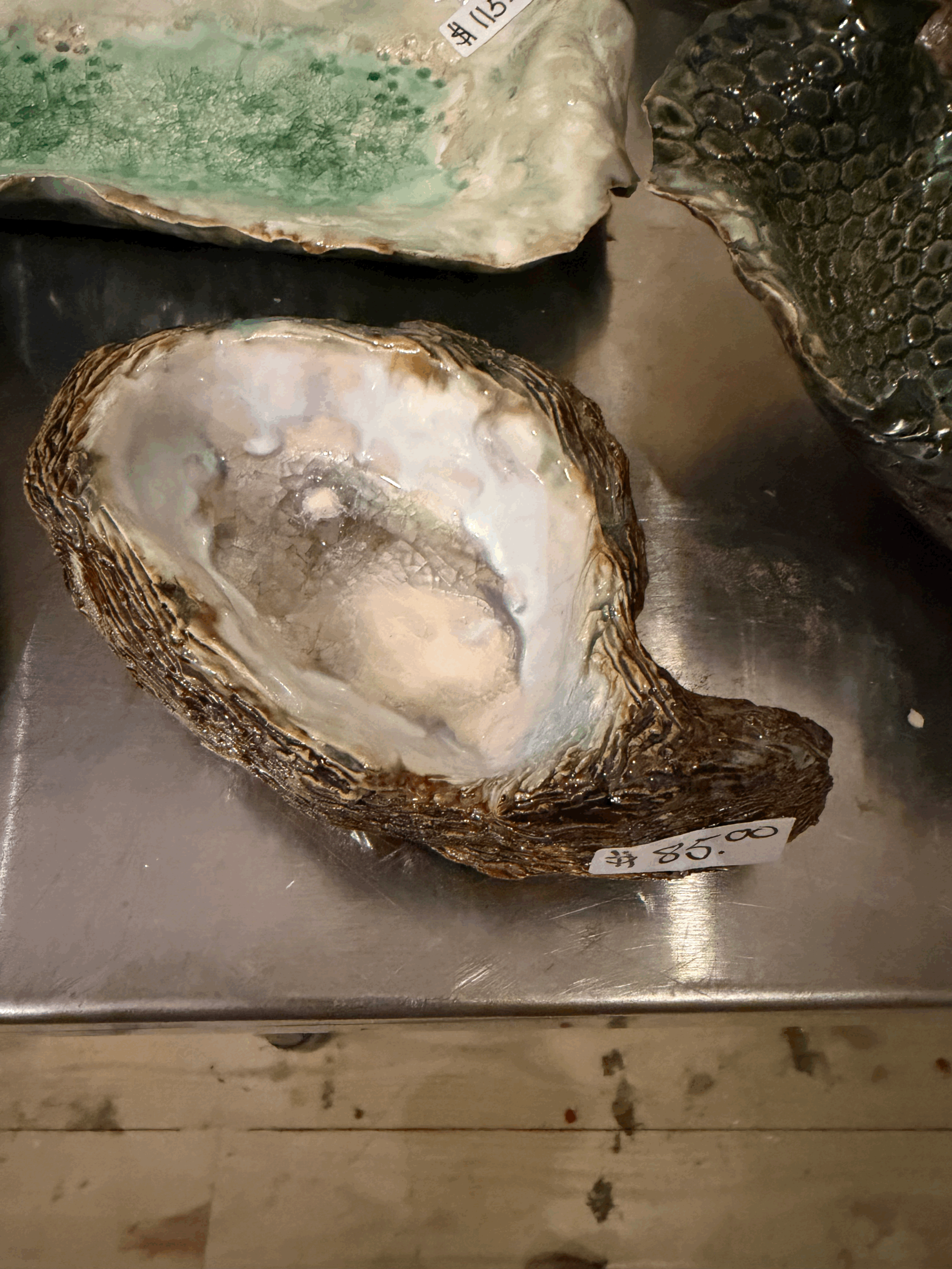 Oyster Spoon Rests