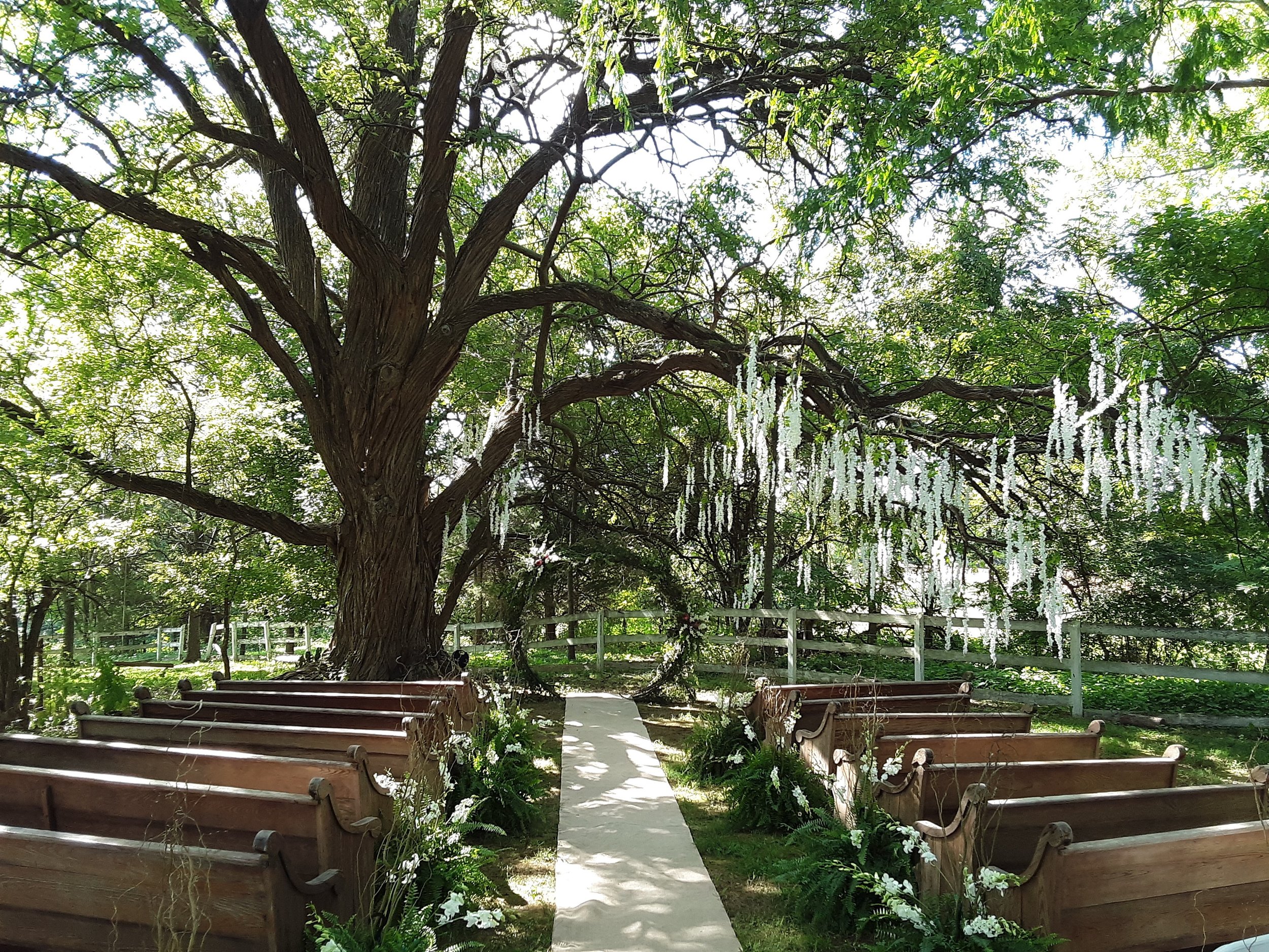 Christian and Allyson ceremony site.jpg