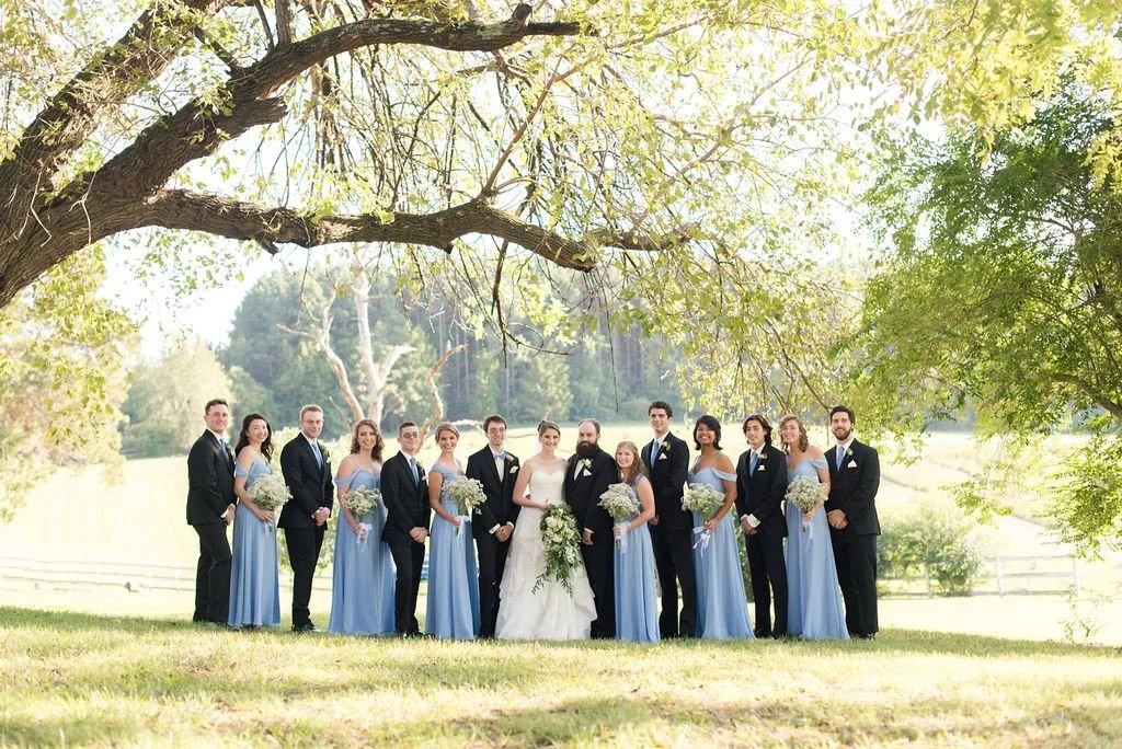 Hannah and DJ wedding parry.jpg