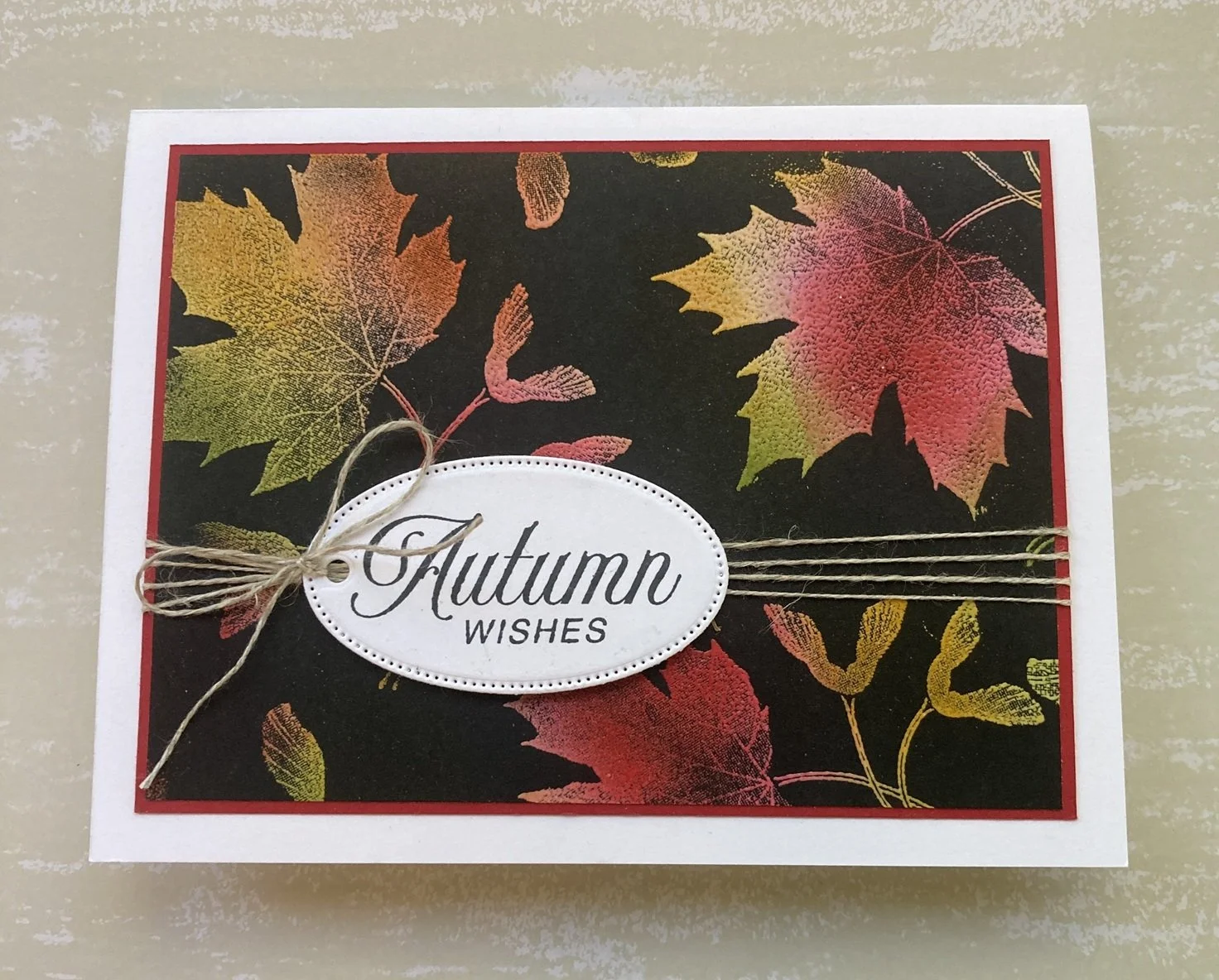 Joseph Coat Soft Seedlings Card.jpg