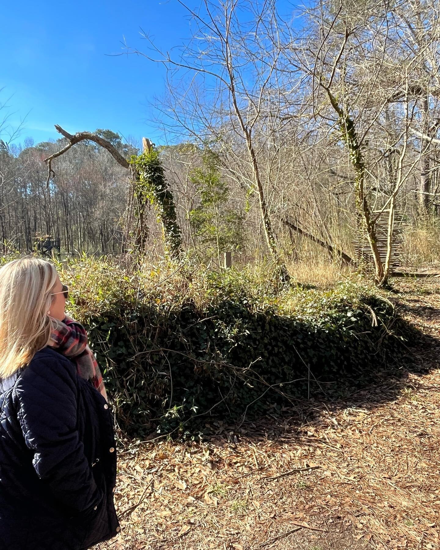 On a recent, winter Friday, Fresh Eyes-Mindful Nature Walks, explored the purpose and function of death and decay in nature. We mindfully walked as we explored how decay in trees makes room for new inhabitants, each which feed off the other,including