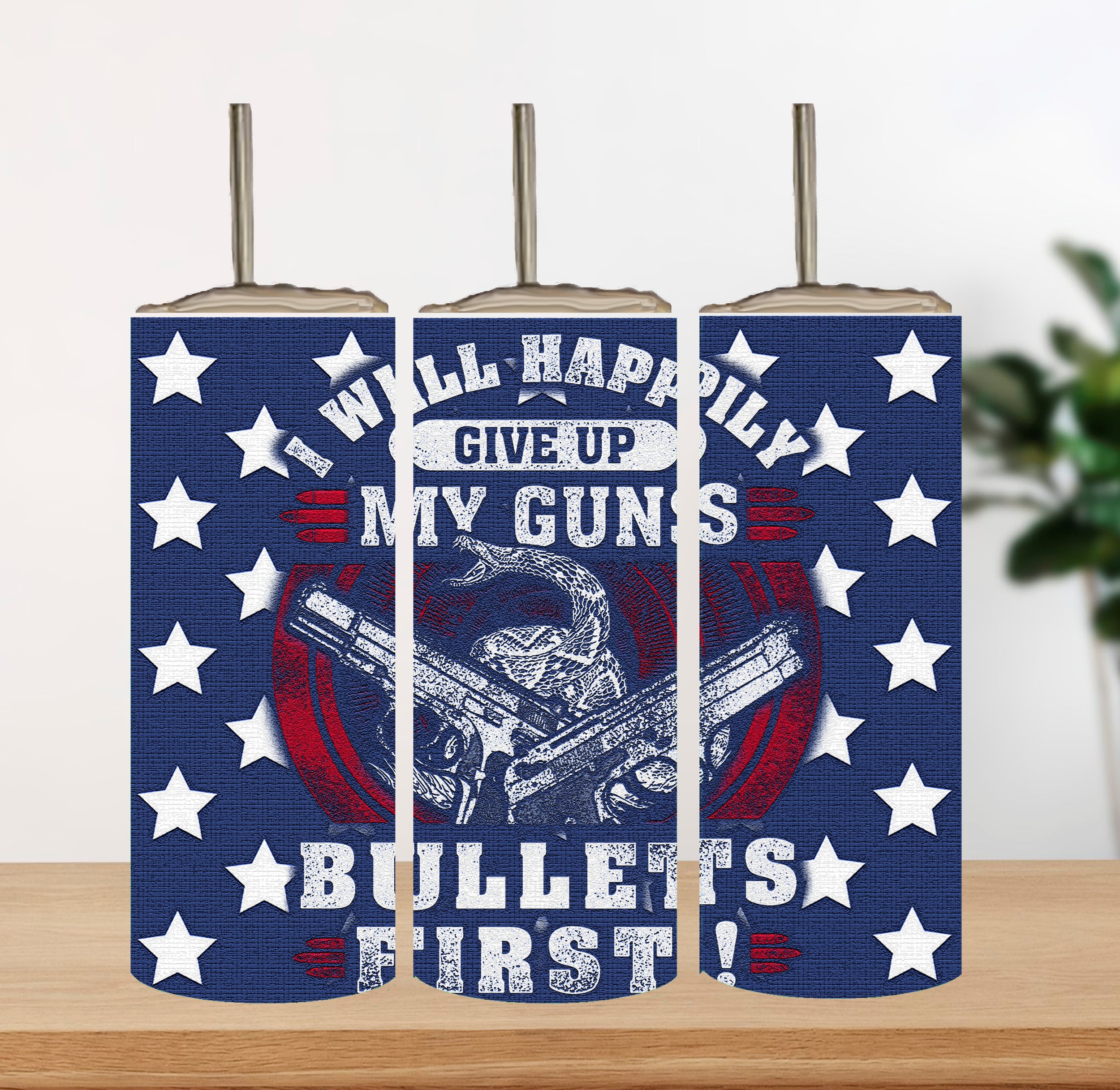2nd Amendment 00003.jpg