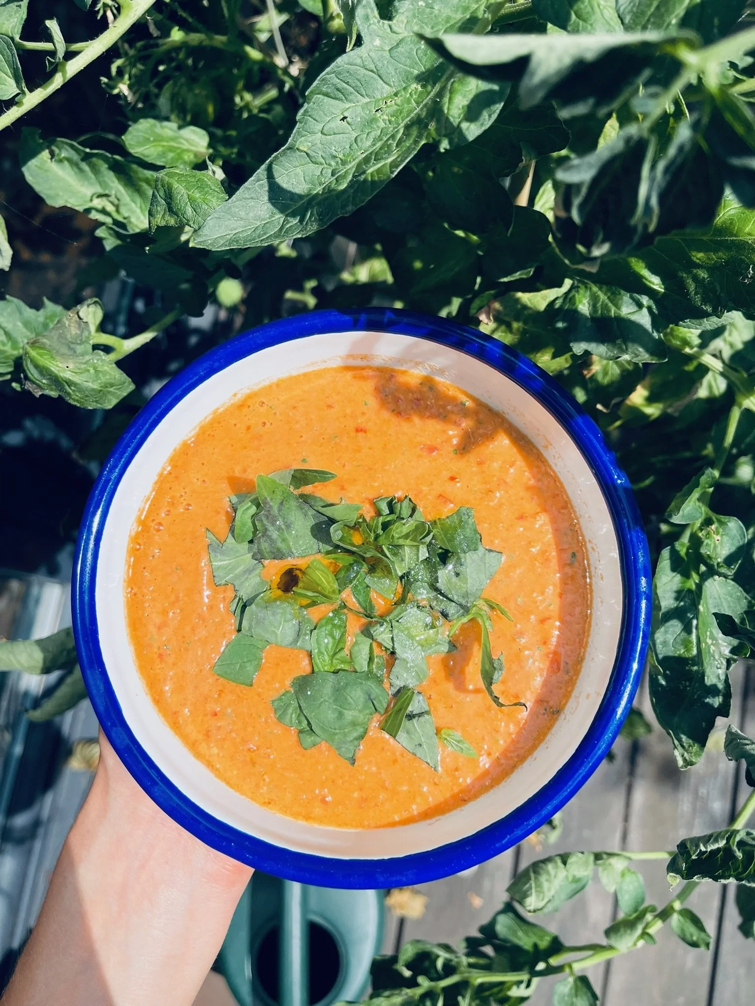 Summer Gazpacho 