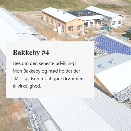Nyhedsbrev #4