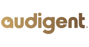 Audigent-Logo-1200x528-LinkedIn-300x158.png