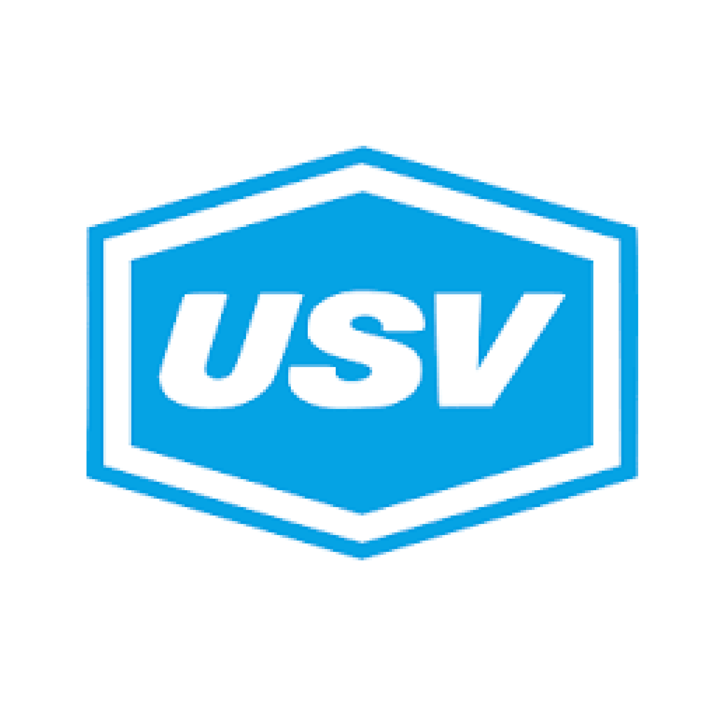USV.png