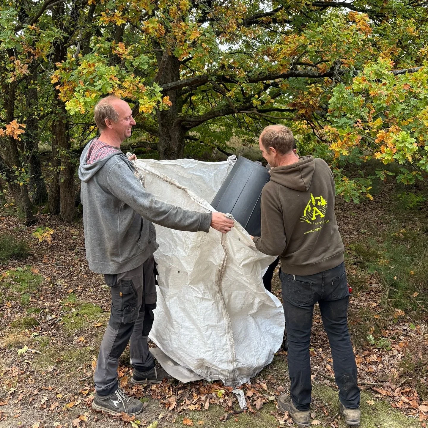 Het leverseizoen is officieel van start! 🍂
De voorbije weken waren we volop bezig met verplanten, zaaien en het oogsten van zaden.
Deze week zijn we begonnen met het rooien en sorteren van de eerste haagplanten, klaar voor levering volgende week! 🌿