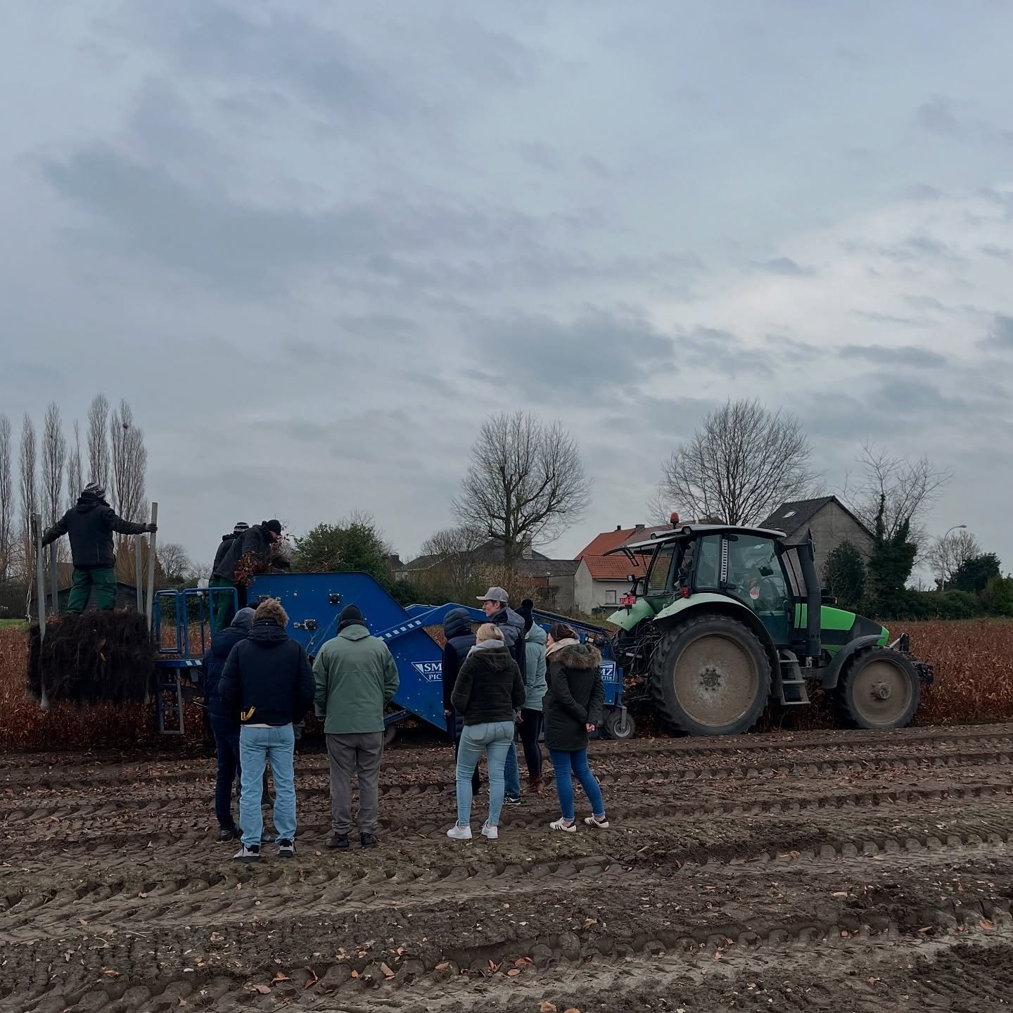 A few highlights from recent visits where we welcomed clients, colleagues and trainees to showcase our work, quality and how we strive to make the difference. 🌳
&bull;
&bull;
&bull;
#boomkwekerij #boom #kwekerij #planten #haagplanten #bos #natuur #p