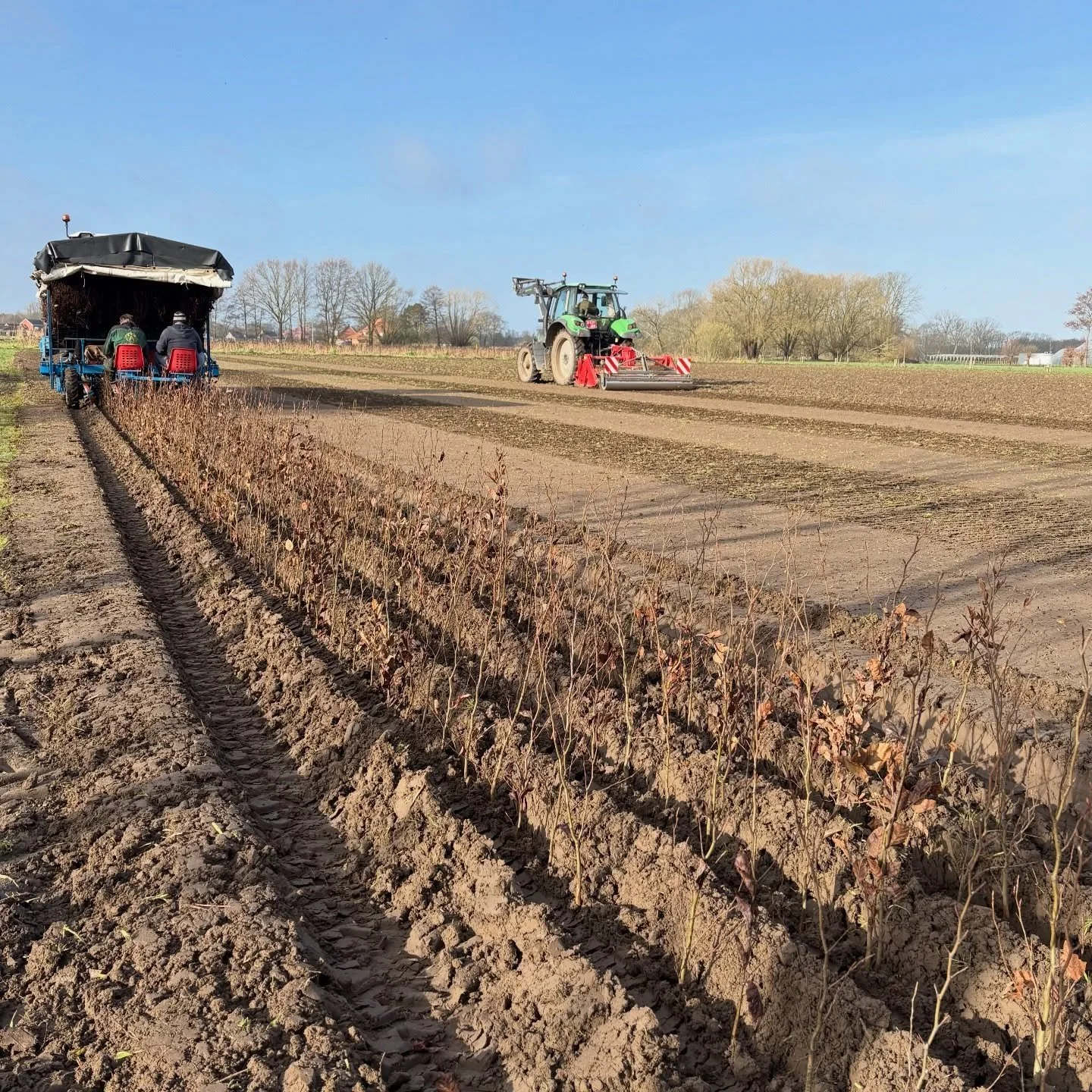 Week 2 of lining out our seedlings for next season, ready to grow throughout spring and summer.🌱
