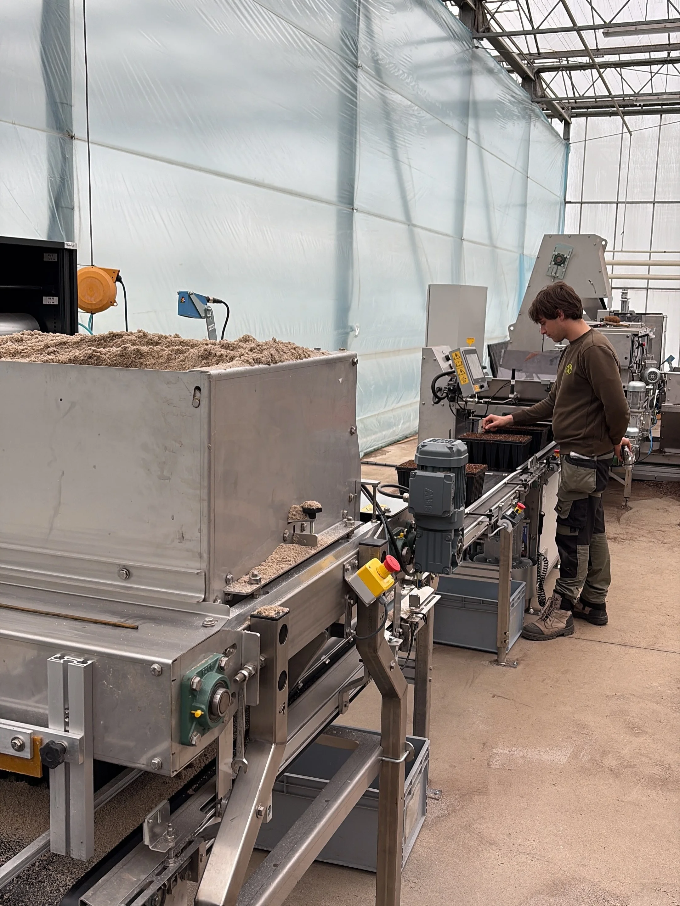 Terwijl het zaaien en verplanten in de volle grond volledig achter de rug is, worden bij ODB Forestry Plugs  de laatste trays bosgoed voor volgend seizoen gezaaid. 🌱

👉 Swipe voor een overzicht van de teelt en ontdek hoe het geautomatiseerd zaaien 