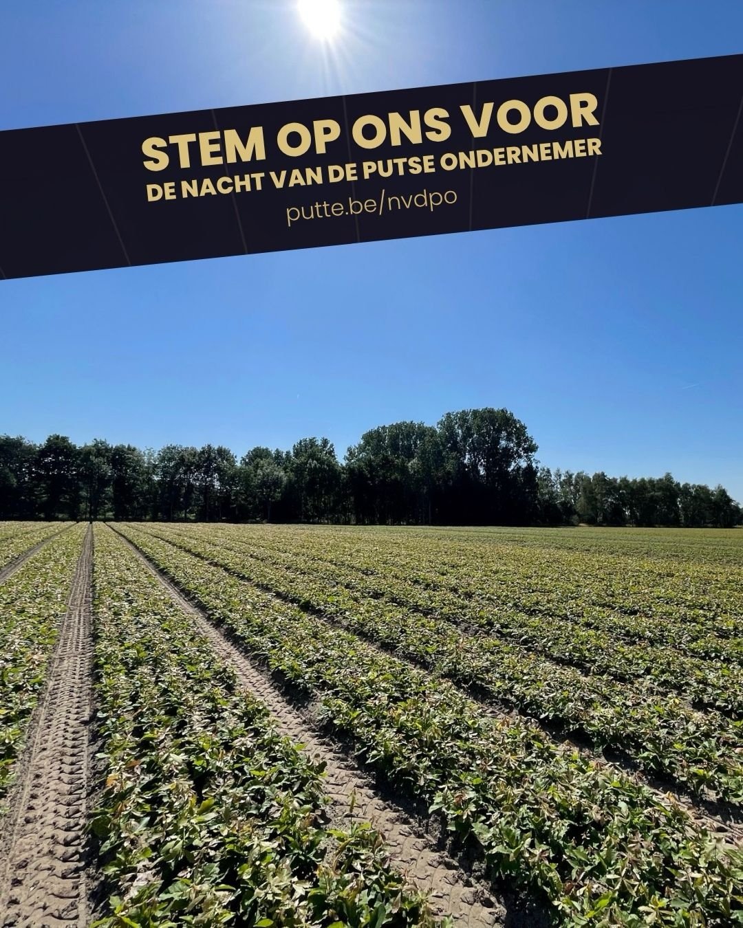 Sinds 1832 diep geworteld in Putte en &eacute;&eacute;n van de oudste ondernemingen van de gemeente 🏘️ Steun Op de Beeck Boomkwekerijen tijdens de Nacht van de Putse Ondernemer en stem op ons via https://www.putte.be/nvdpo