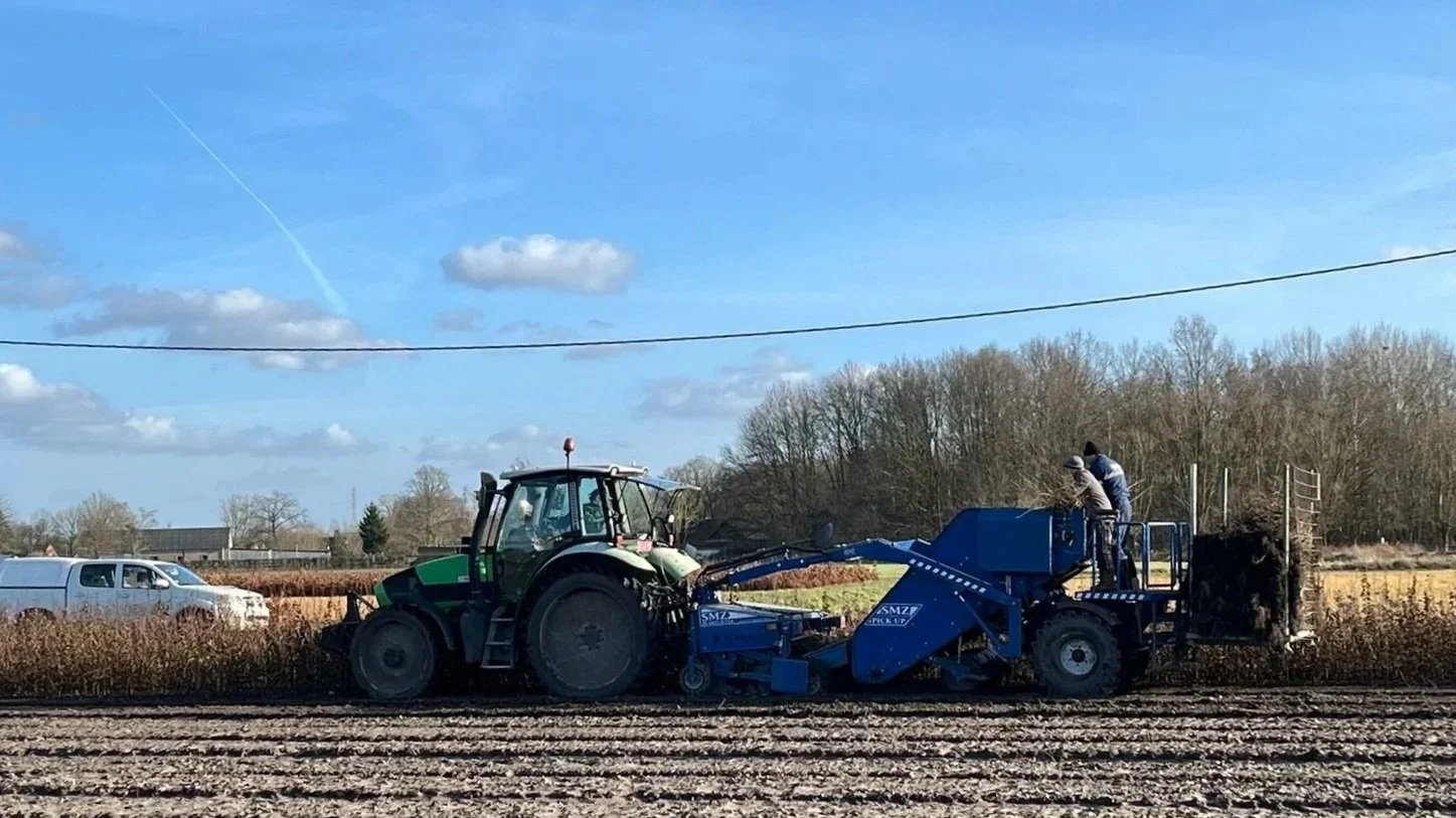 Rooien van bosplantsoen met de rooimachine
