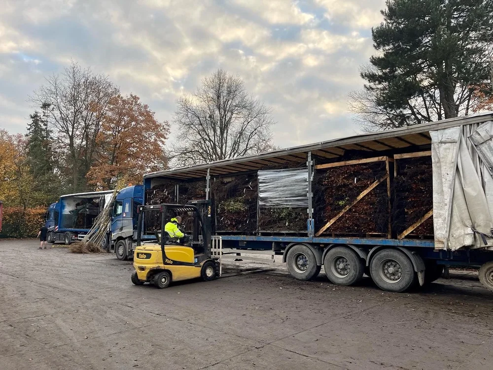Productiemedewerker laadt plantgoed bij Op de Beeck