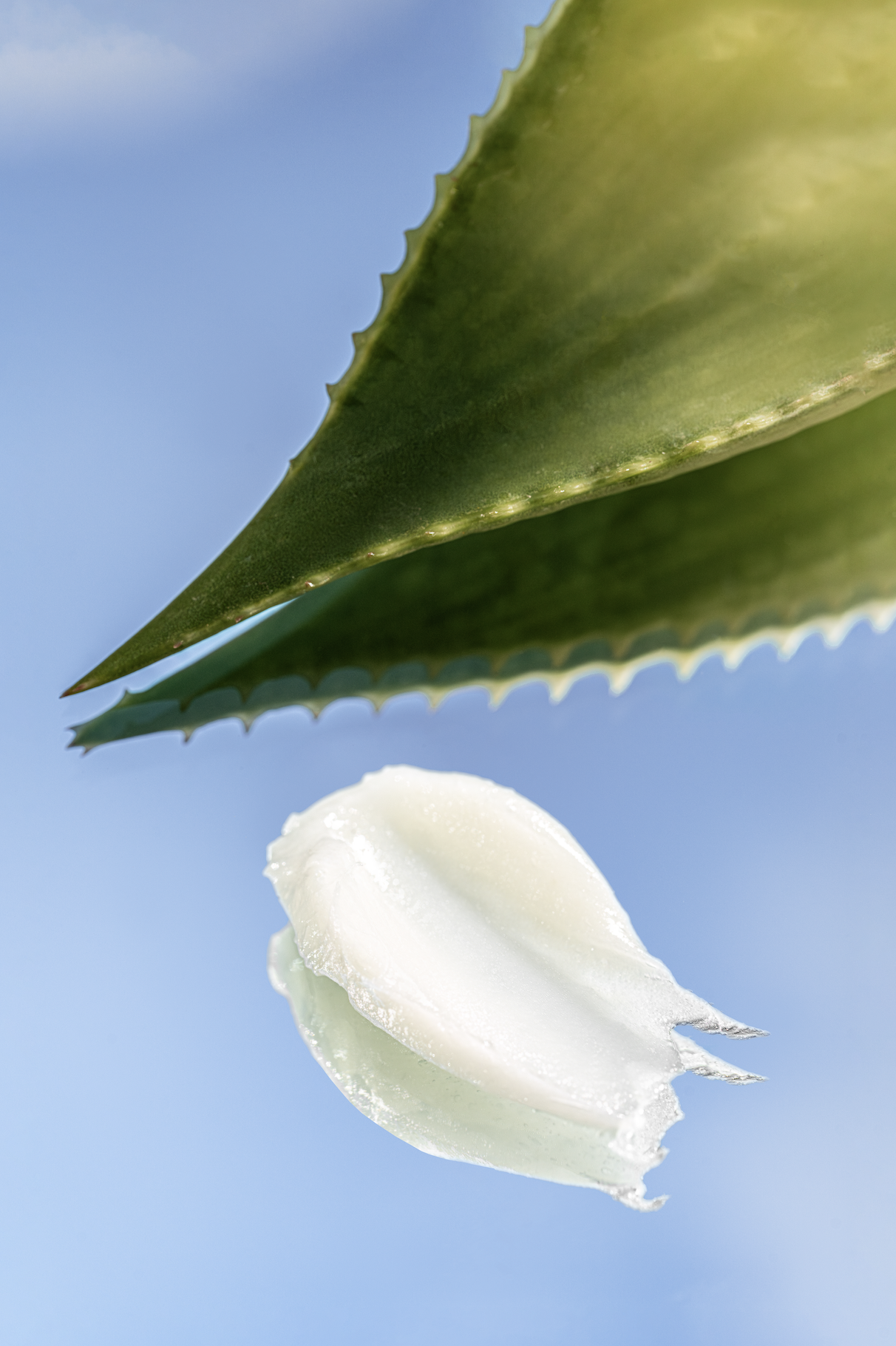 Screenshot 2025-05-06 at 5.23.30 PM.png