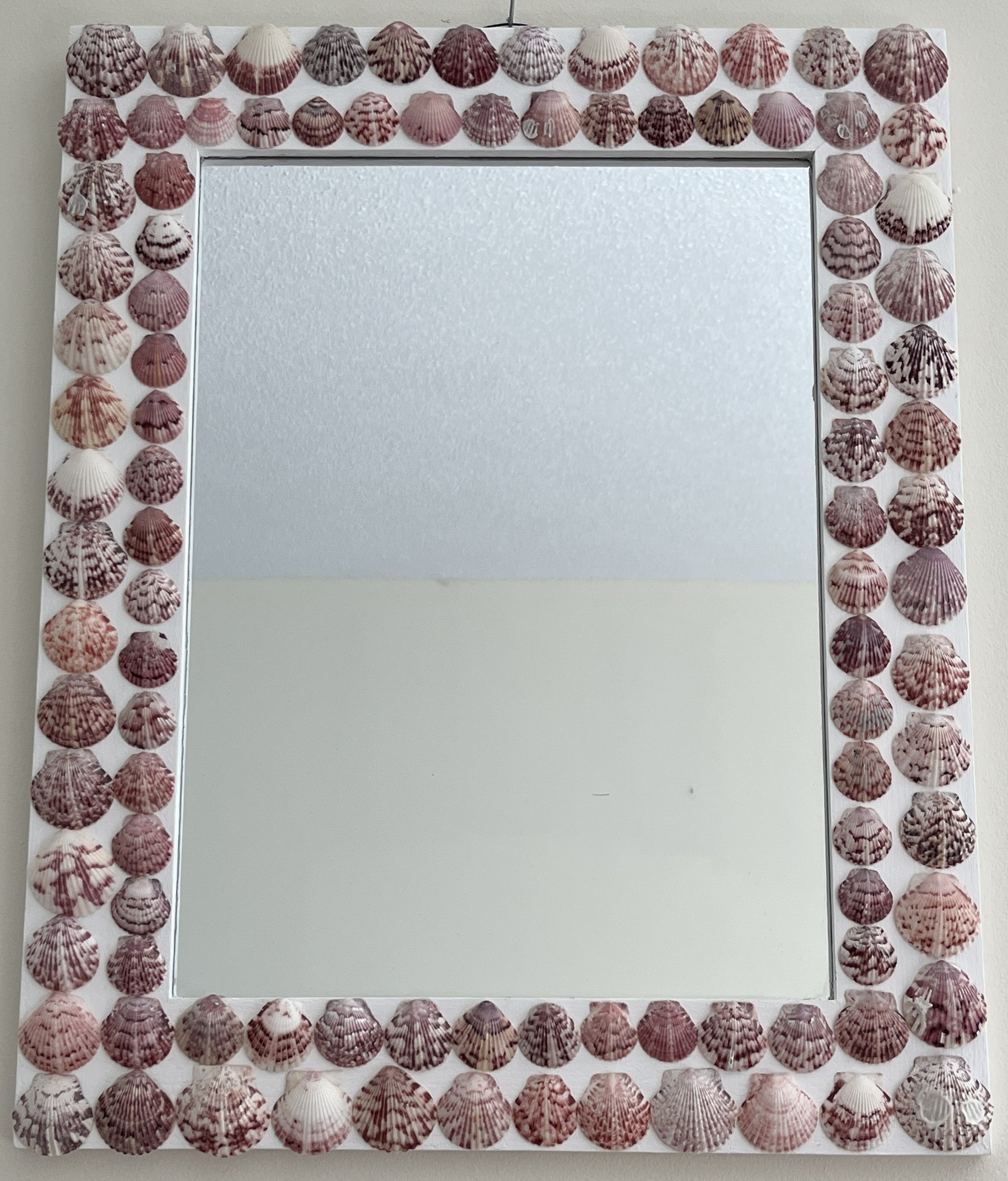 Pink Scallop Mirror.jpeg