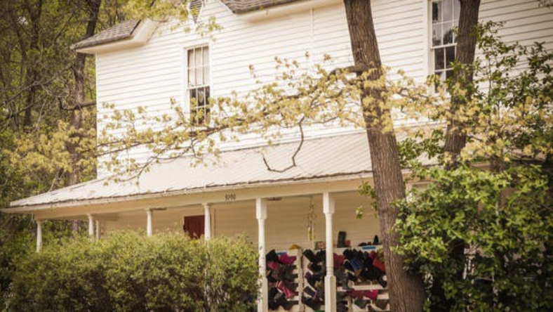 Reaching for the Trees: How Pioneer Springs Grows Student Learning from the Ground Up