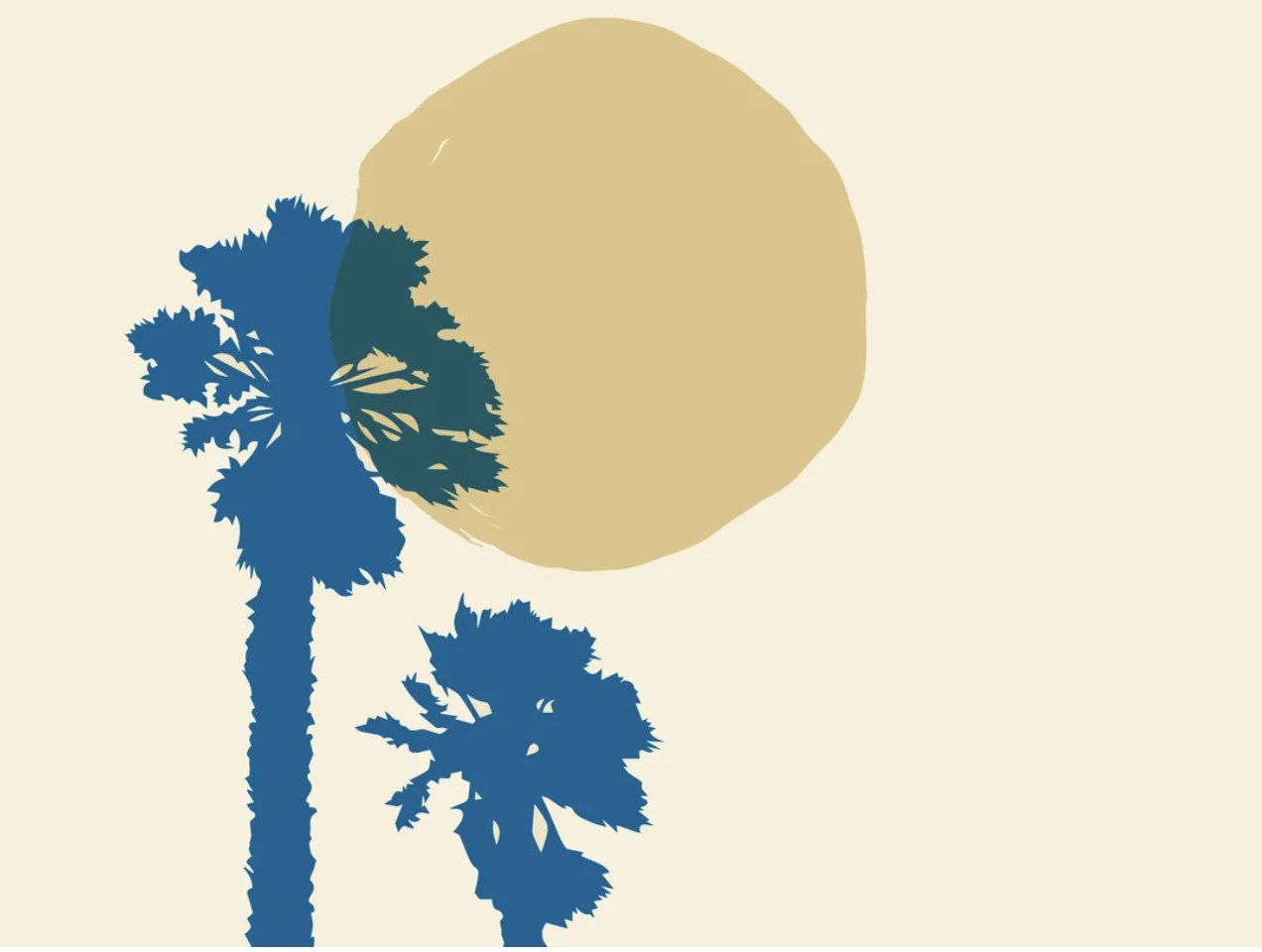 Discover the Vibrant Scene at Palm City in Outer Sunset, San Francisco