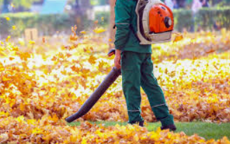 Fall Cleanup