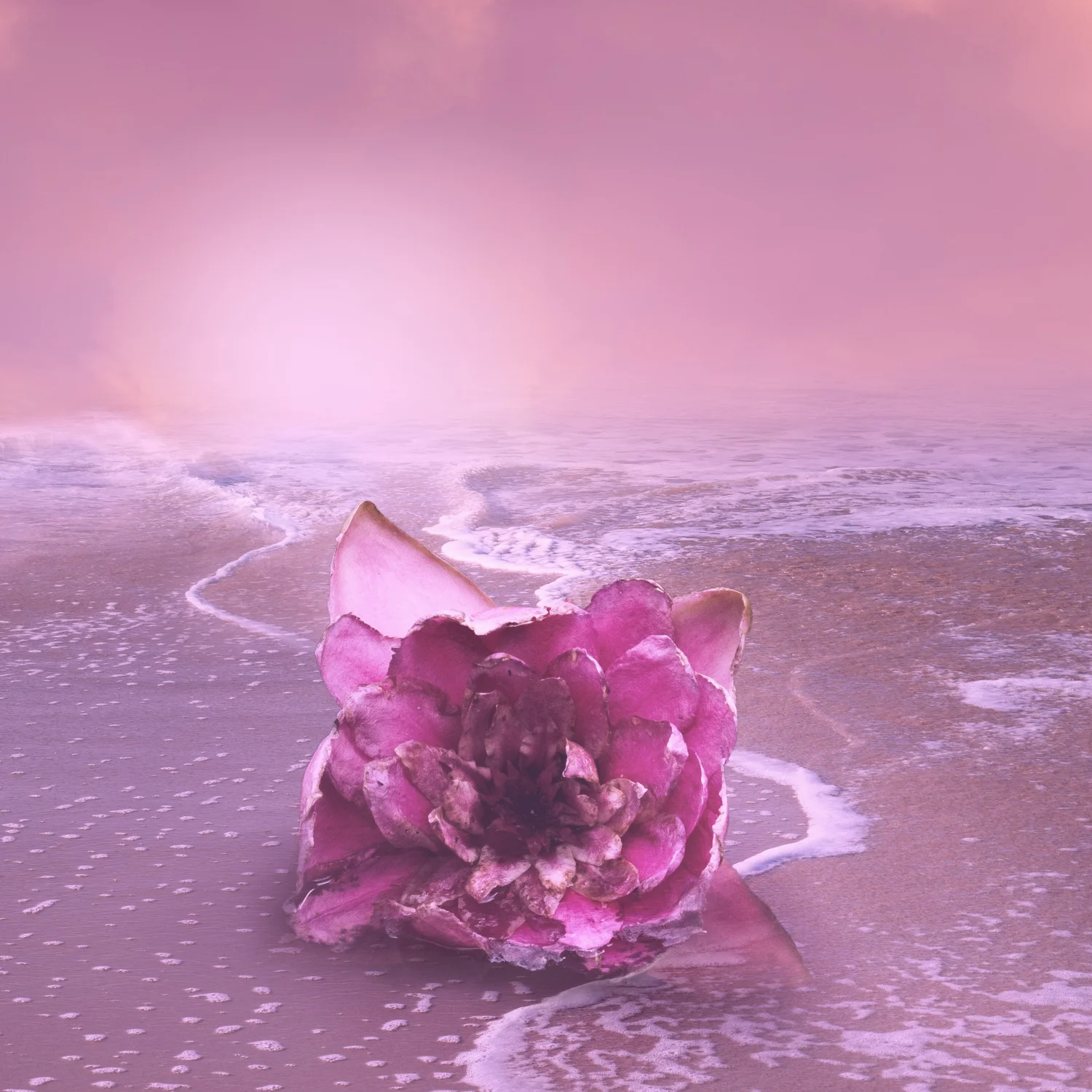 SoulCalma