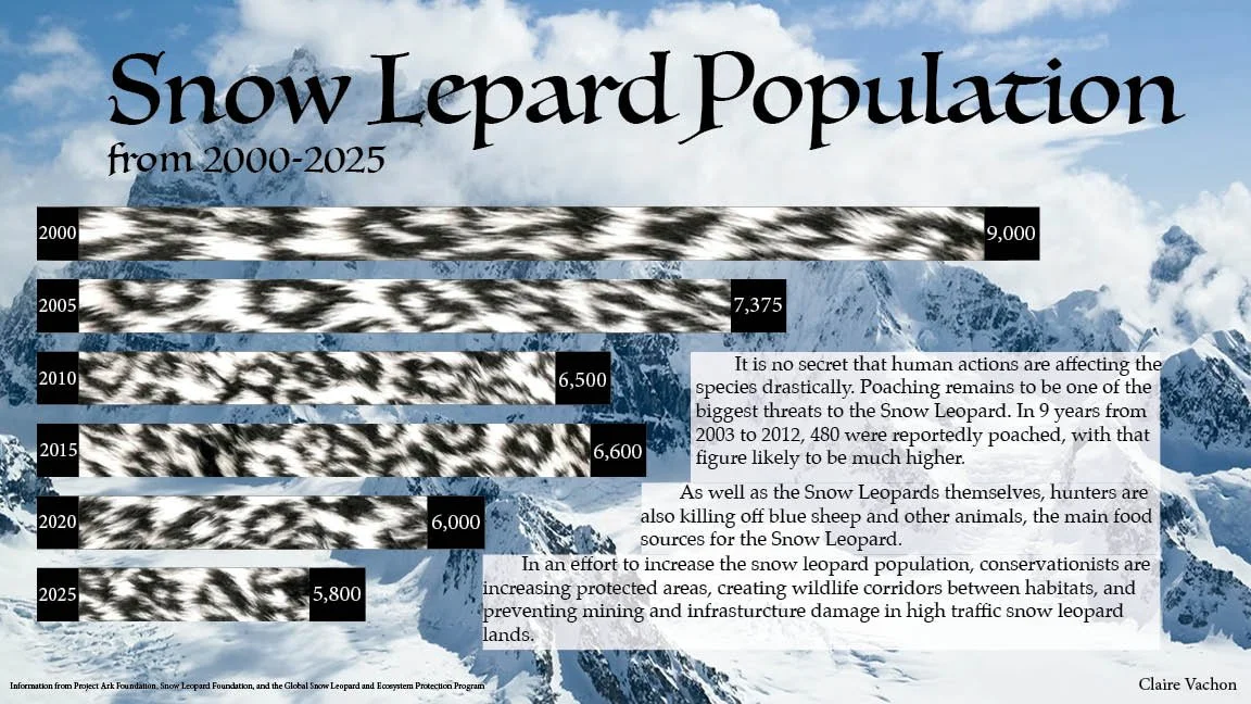 infographicsnowlepardsredo.jpg