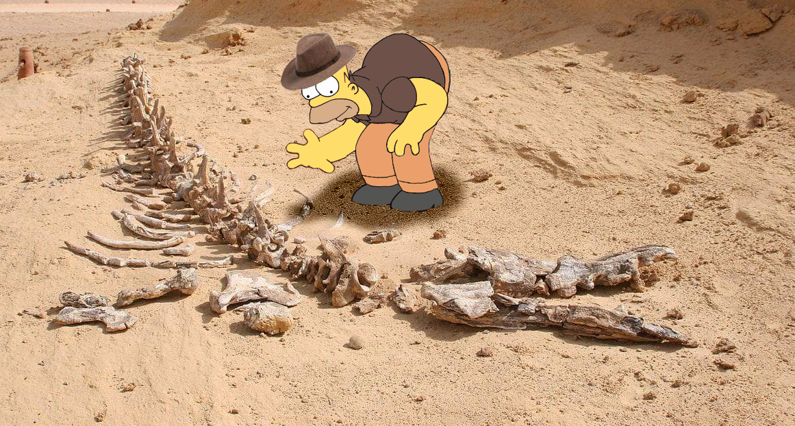 simpsons_assignment3.png