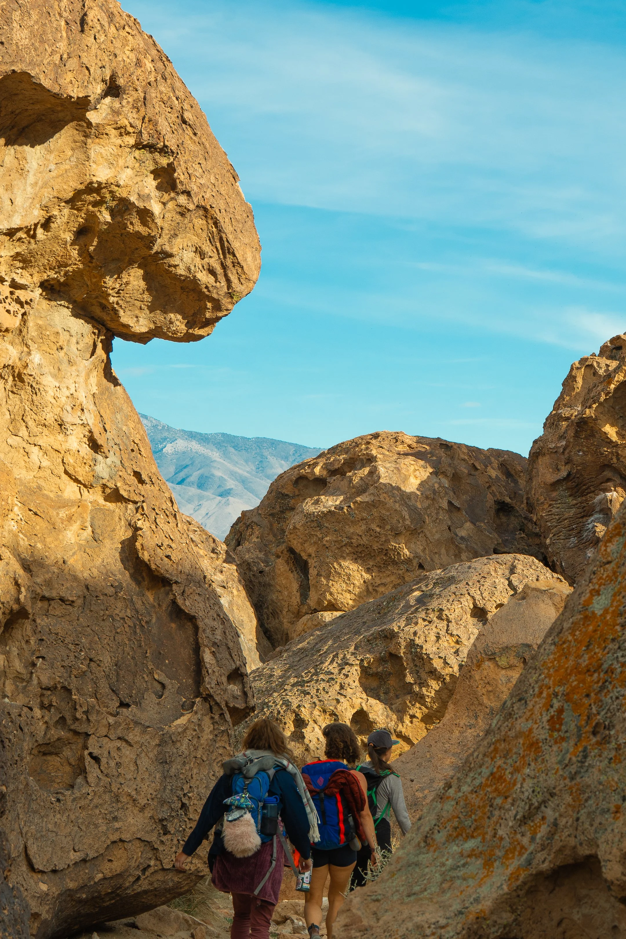 FLASH FOXY 25'-10.jpg