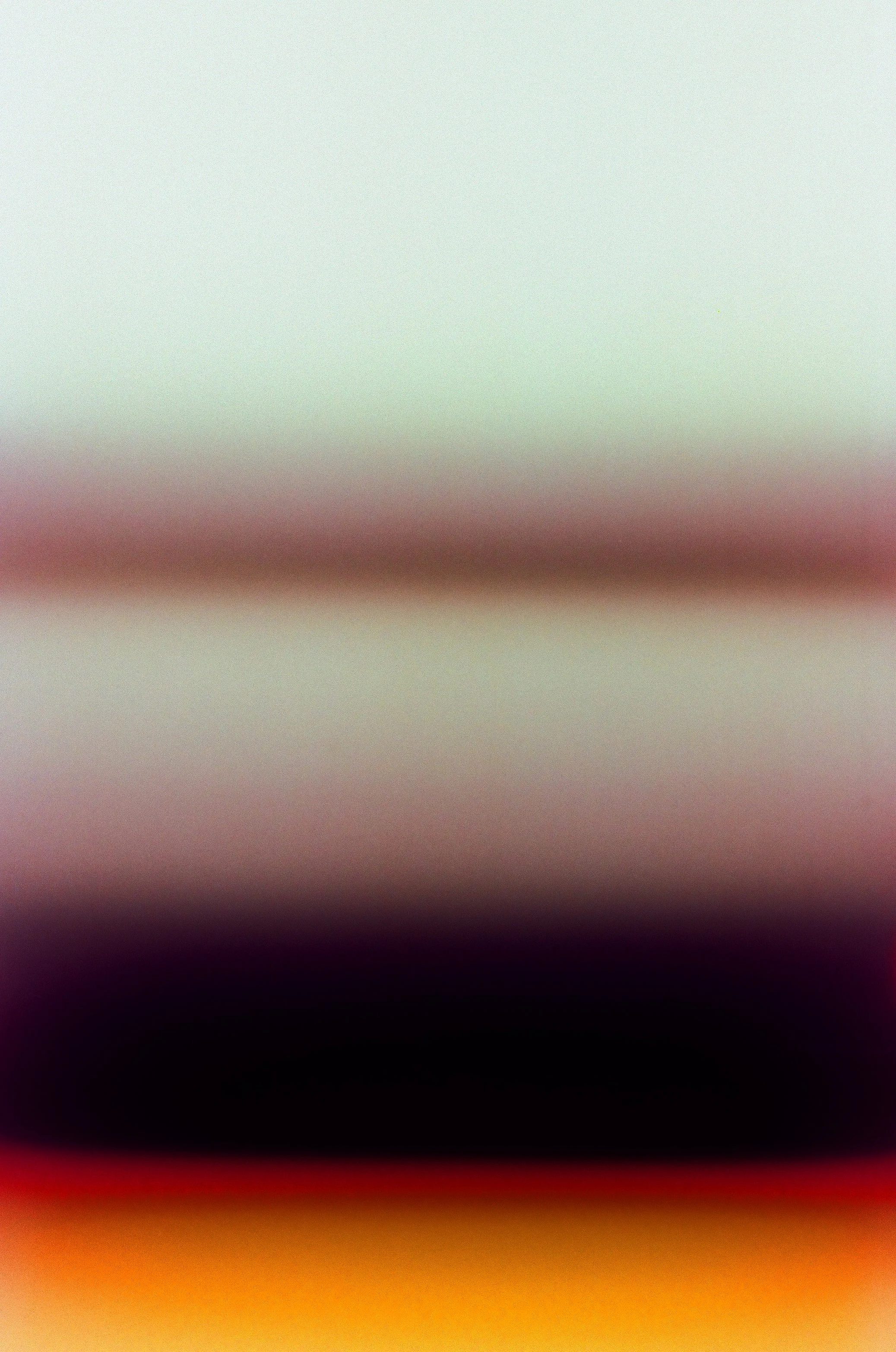 000205490029.jpg