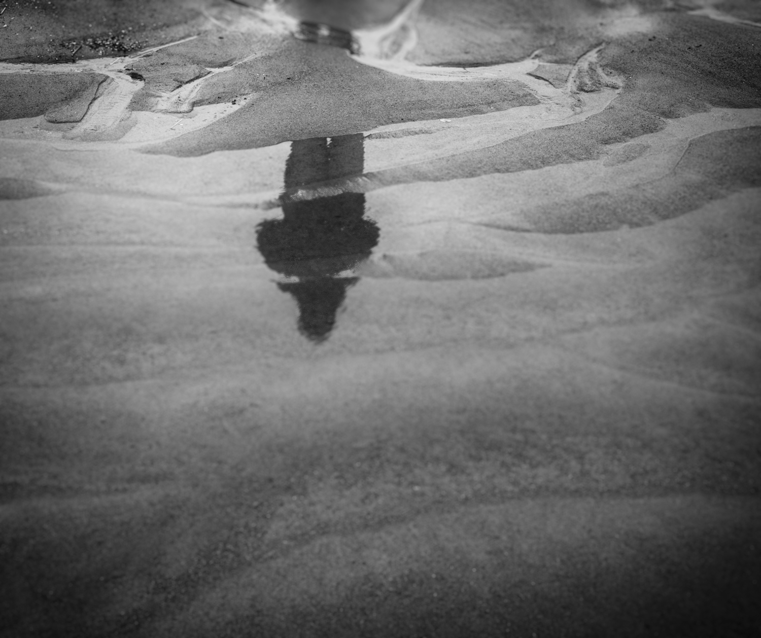 Blog Post #2 - Seeing Creatively