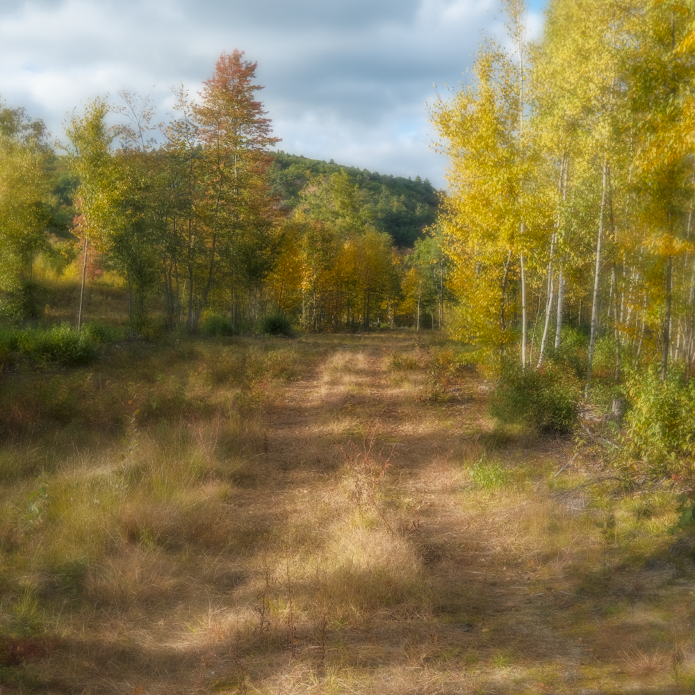 aaron-constant-fall-colors-nh.png