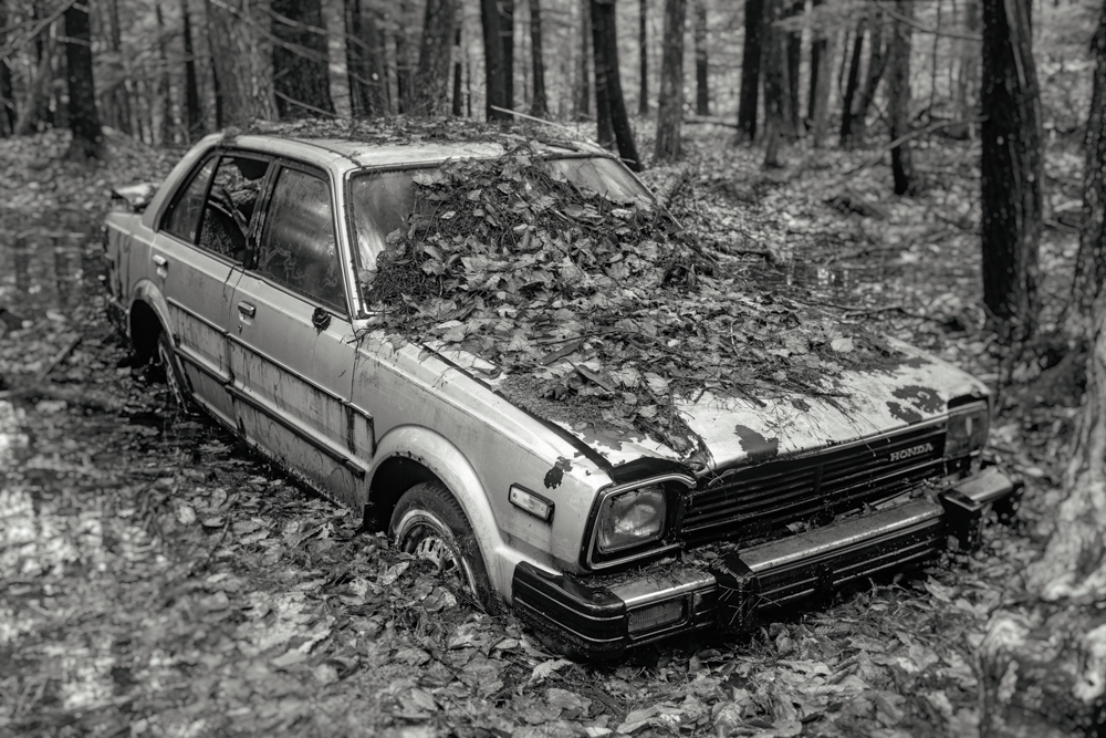 Honda. Canterbury, NH. Fall, 2023