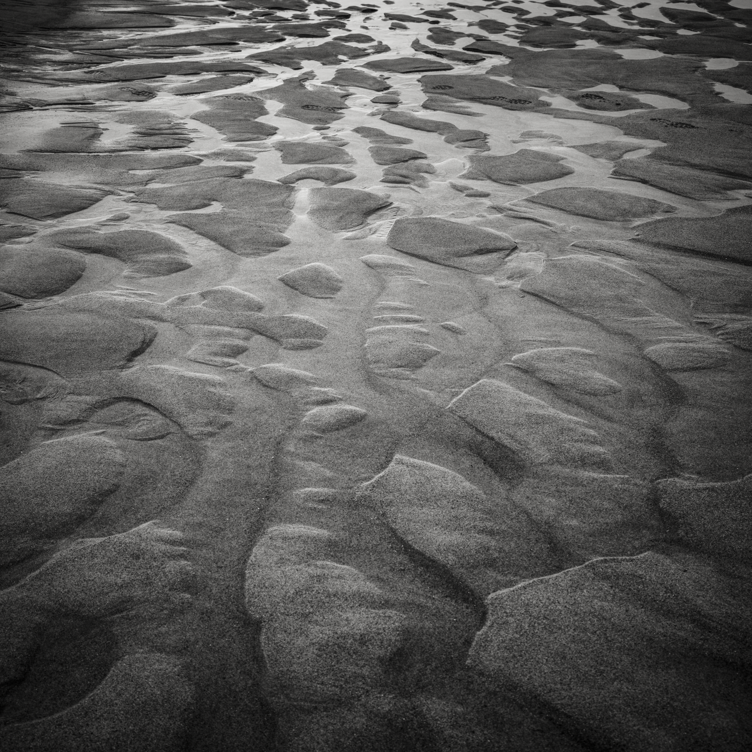 Sand Texture. Plum Island. Winter 2026