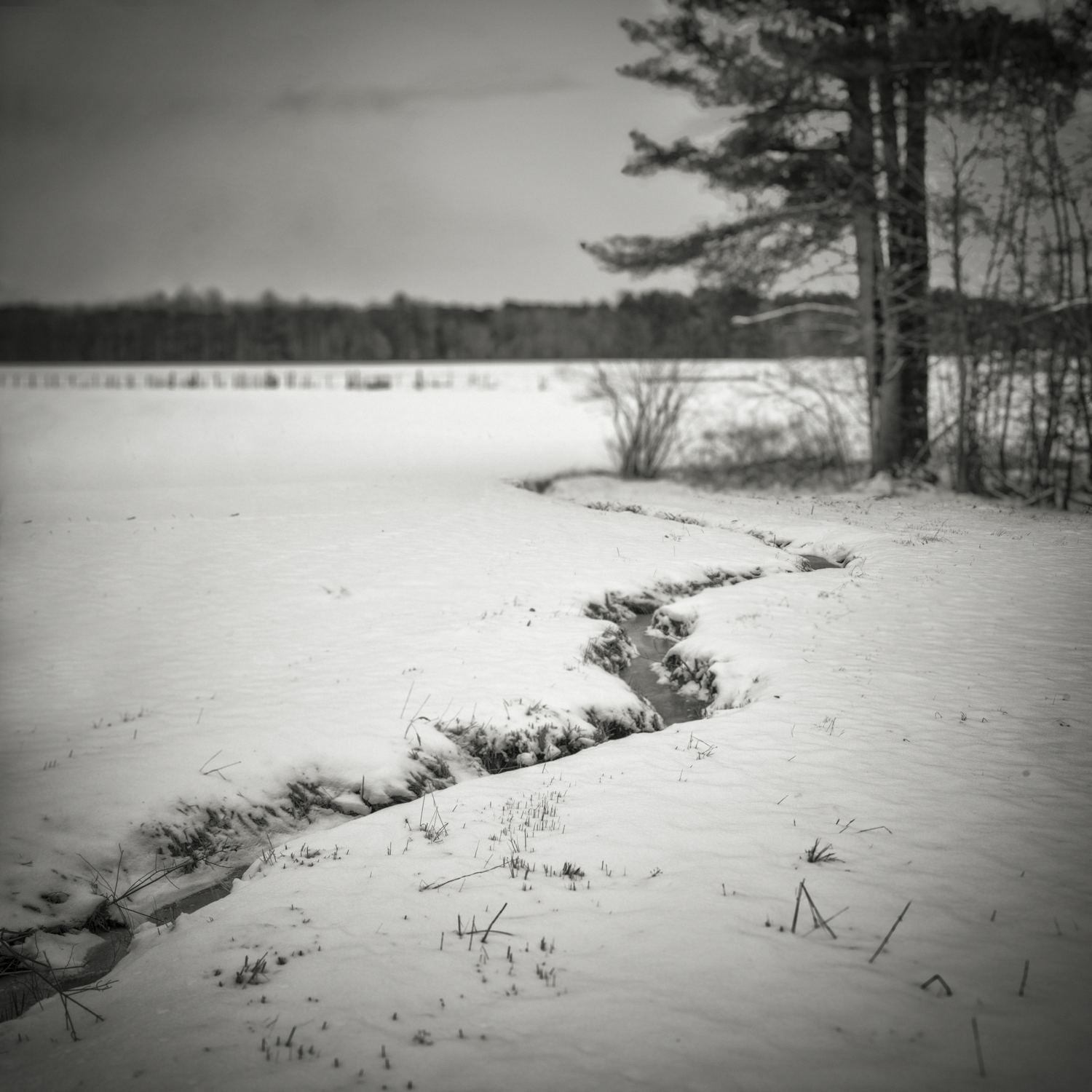 Meandering Channel. Penacook, New Hampshire, 2026