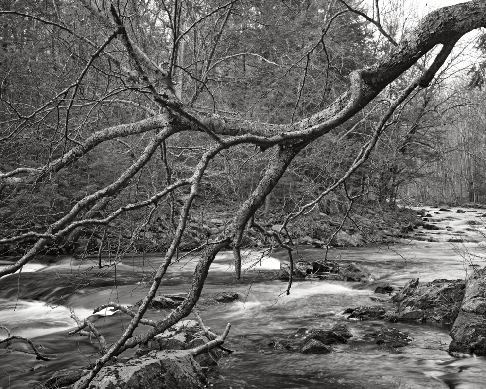 Blackwater River. Salisbury, NH. April 2026