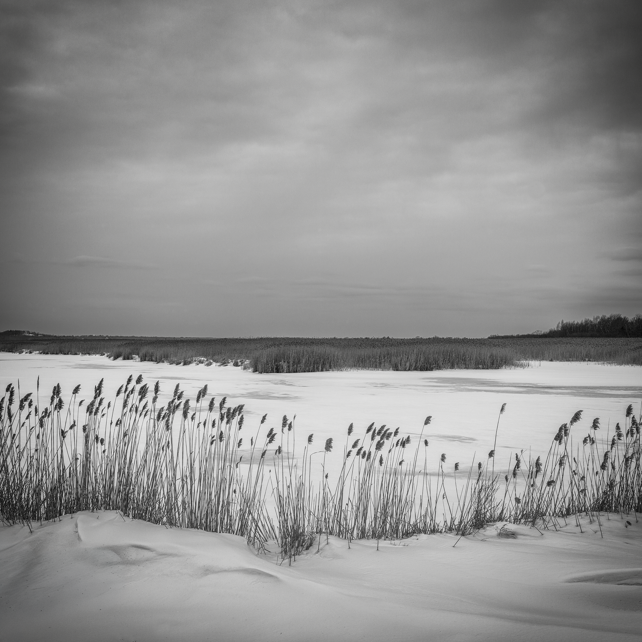aaron-constant-winter-landscape.png