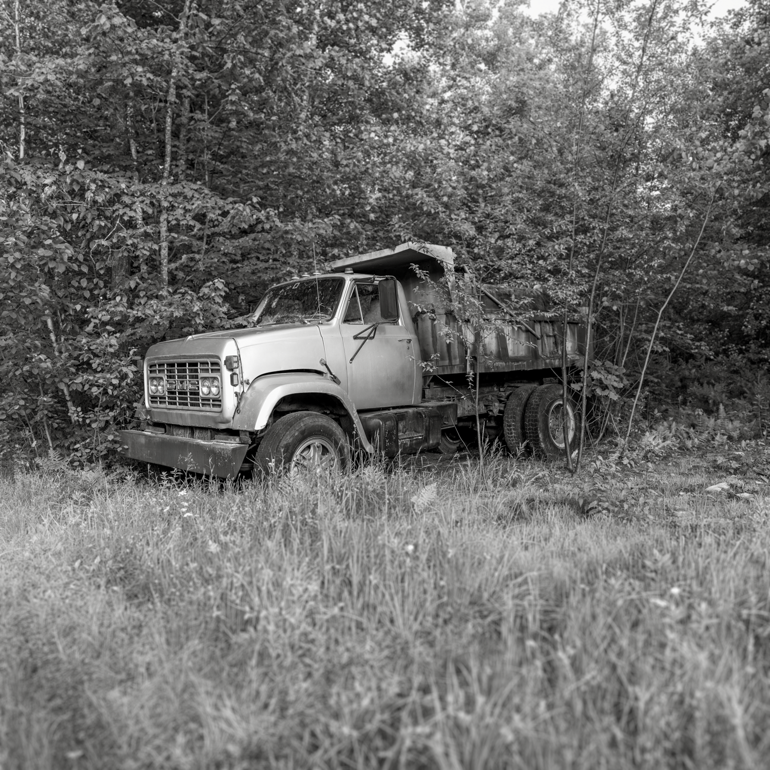 GMC Dump. Hasselblad X1DII. New Hampshire. Summer 2025