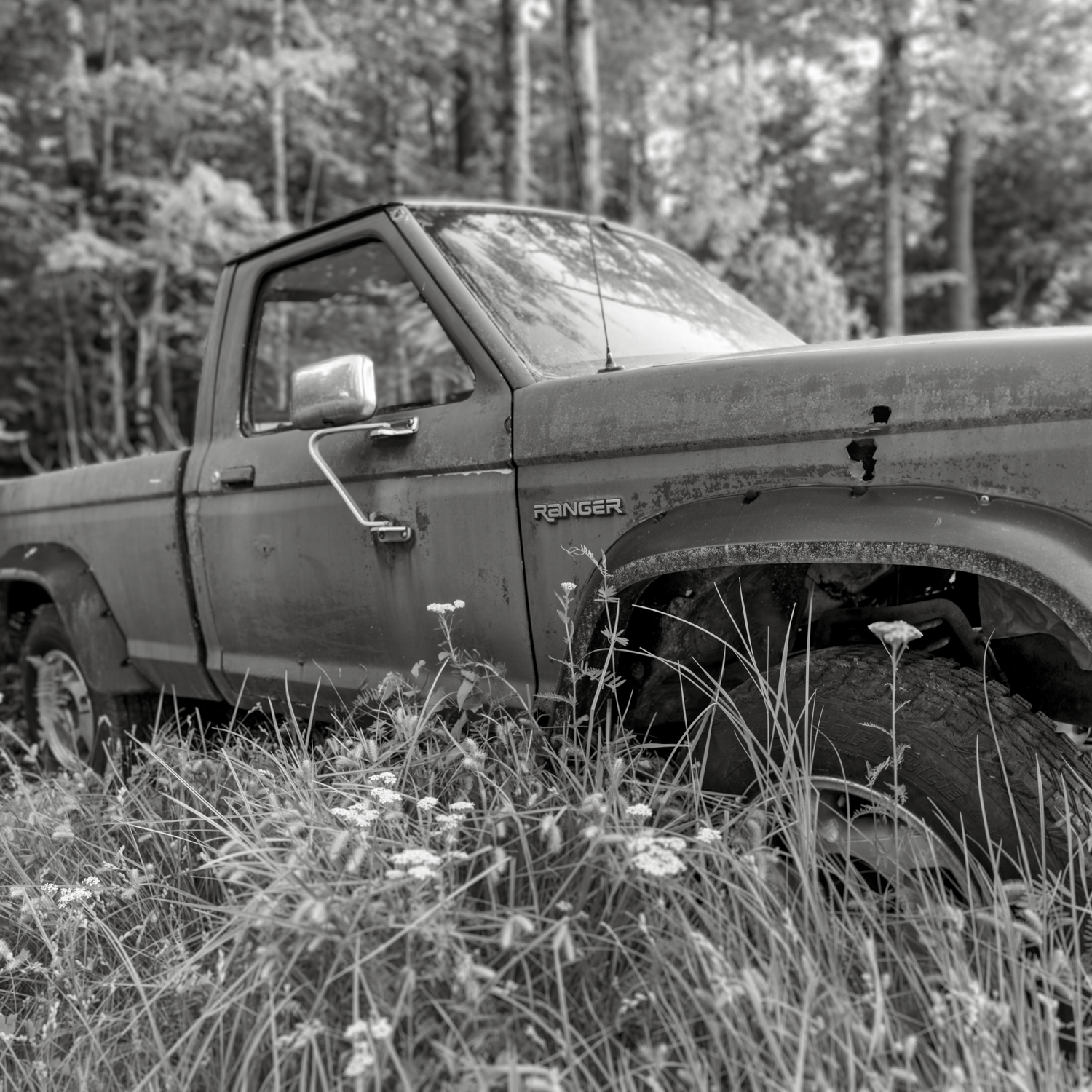 Ford Ranger. Hasselblad X1DII. New Hampshire. Summer 2025. 