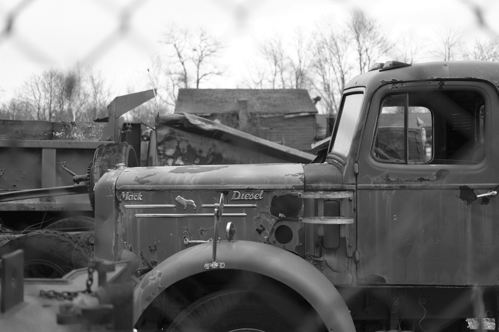 Mack. Concord, NH. Summer, 2025