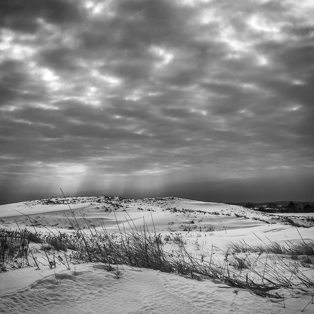 Winter Dunes. Plum Island. Winter 2026